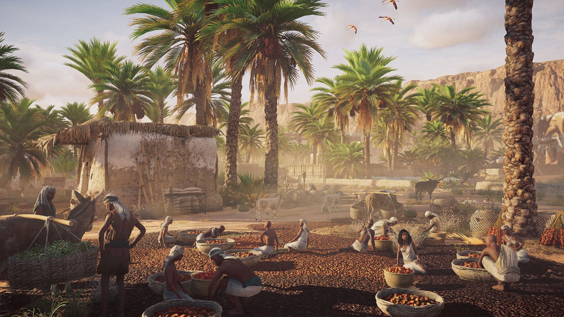 plant, palm tree, Assassins Creed: Origins, outdoors, real people, 1080P, adult, tropical climate, coconut palm tree, video games, farmer, people, group of people, HD Wallpaper