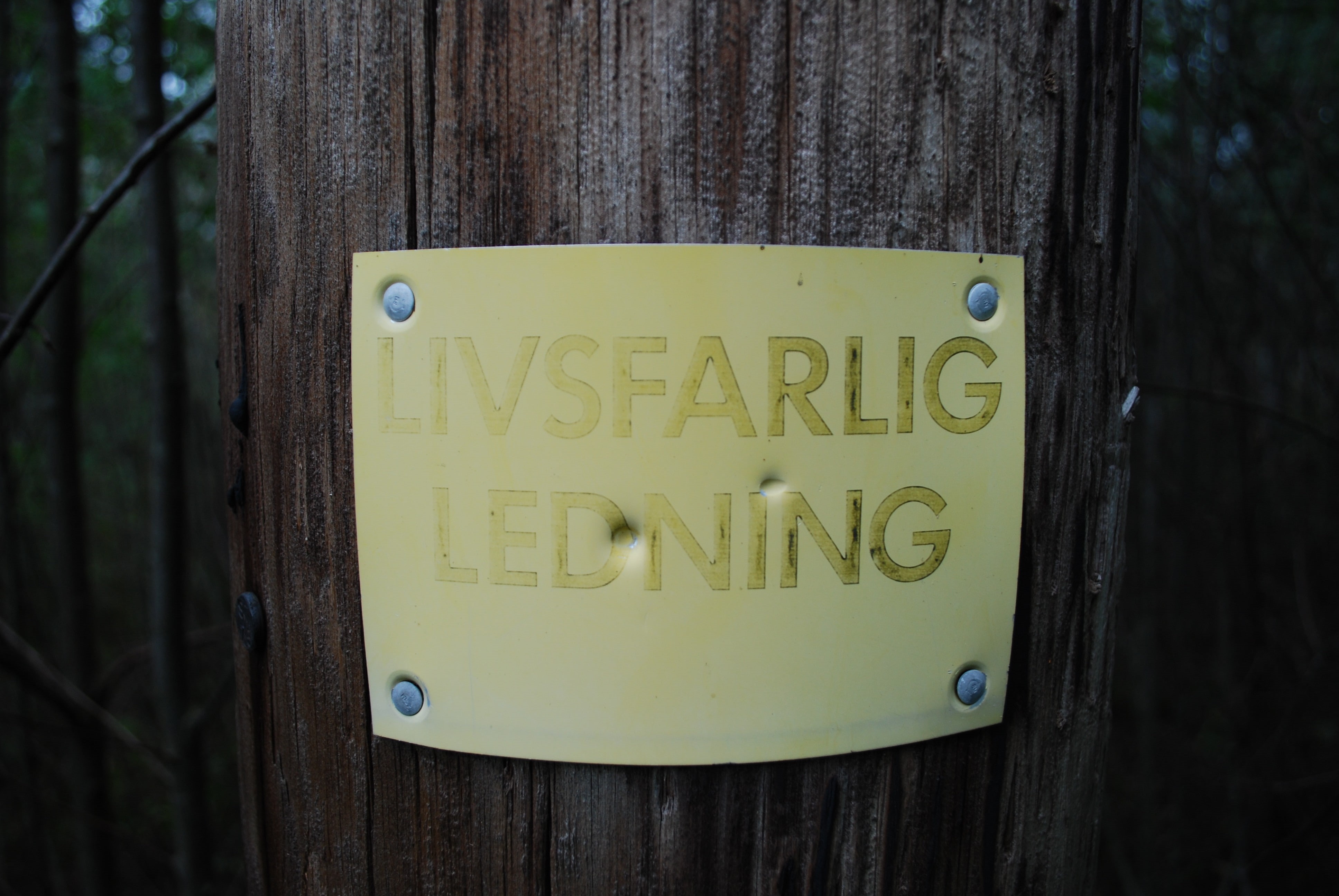 warning sign, capital letter, sign, plant, wood - material, tree trunk, outdoors, 4K, message, yellow, warning signs, text, close-up, Swedish, trunk, forest, HD Wallpaper