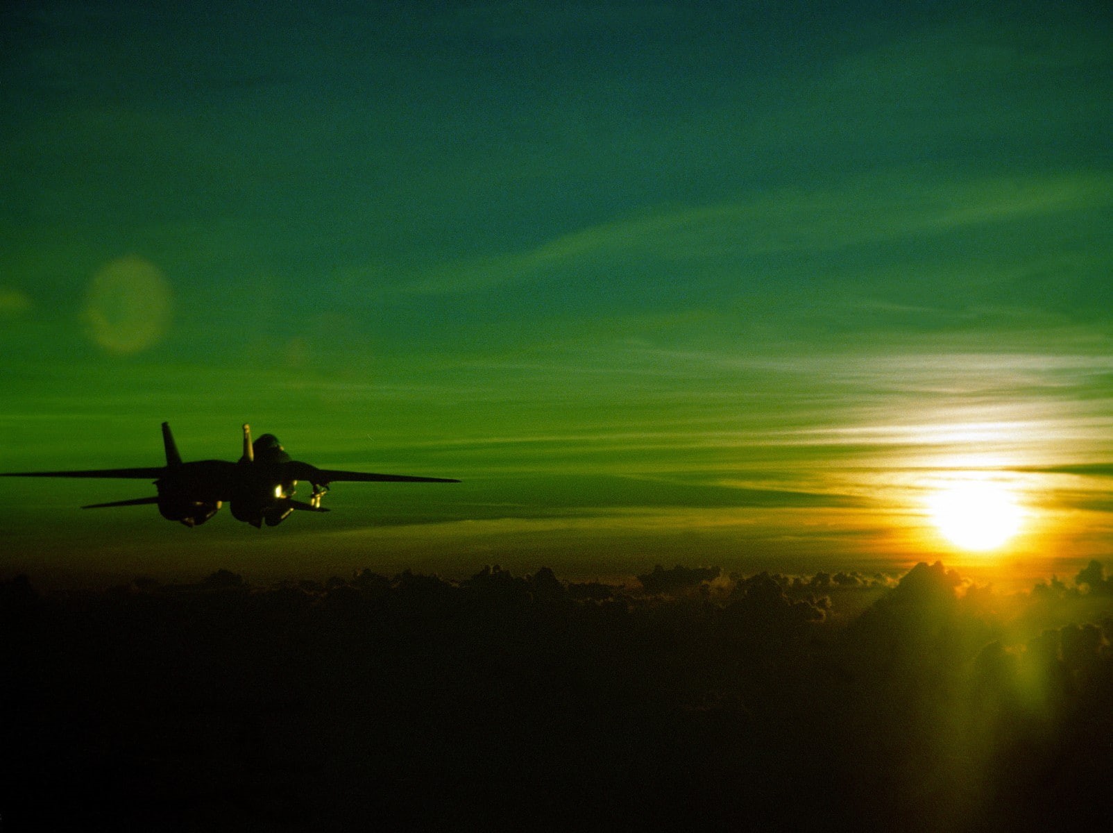 Grumman F-14 Tomcat, 720P, green, aircraft, sunset, jet fighter, HD Wallpaper