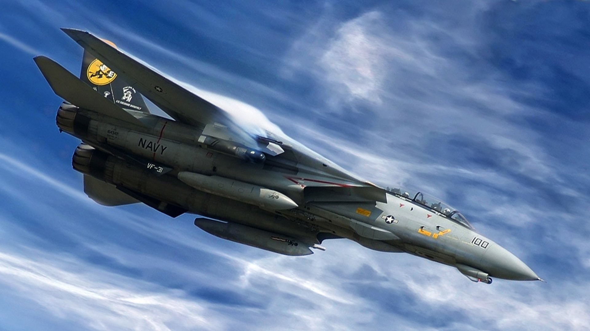 1080P, Grumman F-14 Tomcat, Jet Fighters, HD Wallpaper