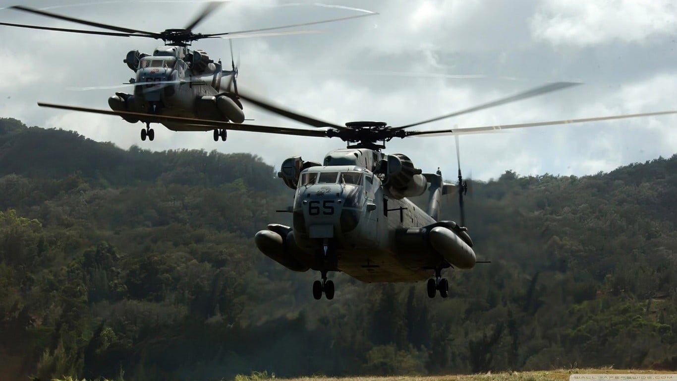 nature, plant, armed forces, military aircraft, aggression, two, aerospace industry, on the move, day, black, mid-air, helicopter, motion, helicopters, HD Wallpaper