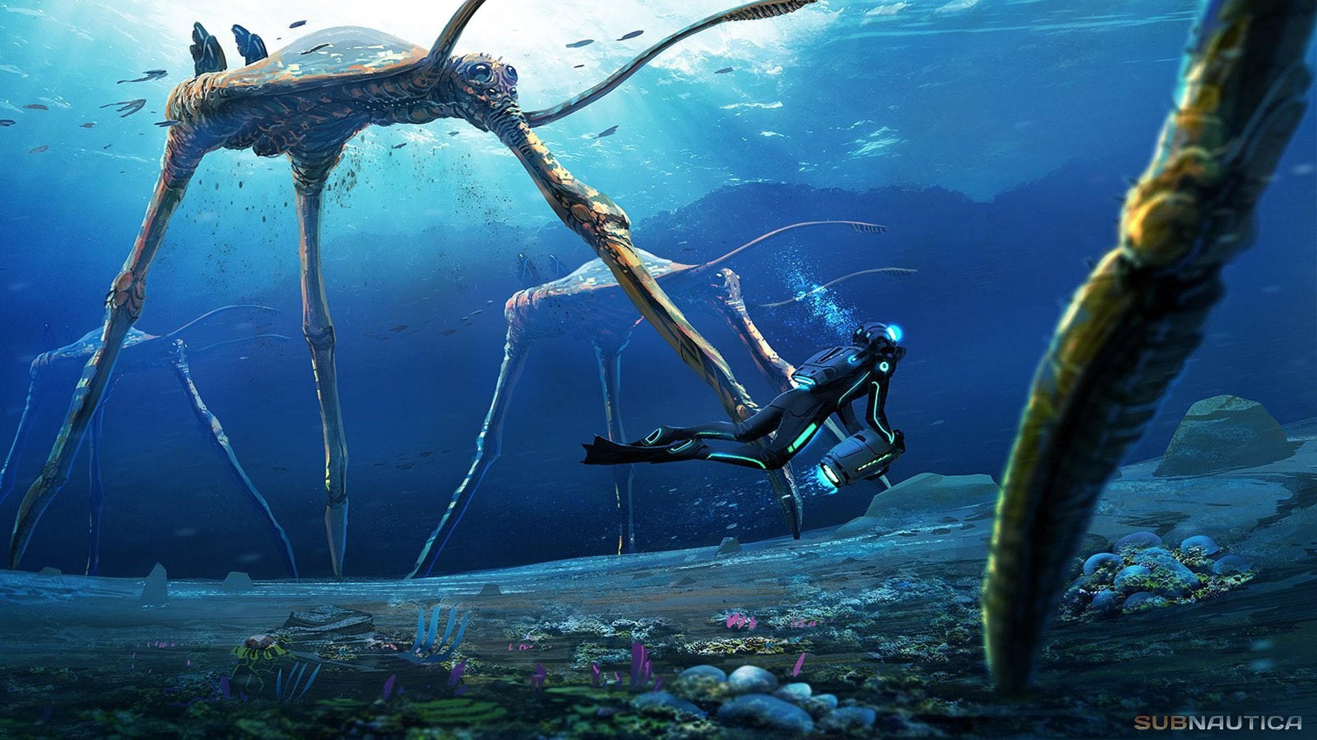 animal wildlife, nature, aquatic sport, scuba diving, undersea, underwater, sea life, 1080P, sea, water, people, Video Game, day, animals in the wild, HD Wallpaper
