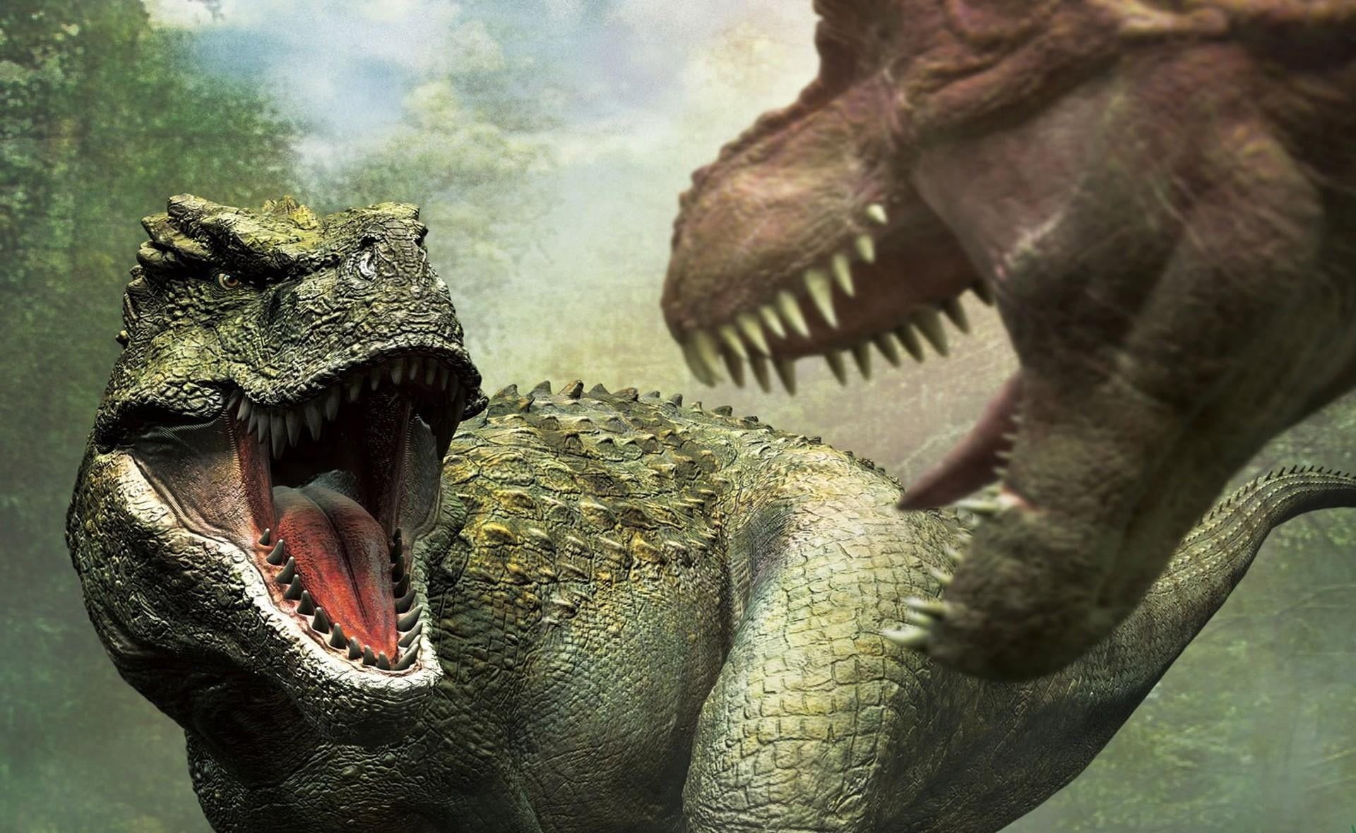 animal mouth, mouth open, no people, 1080P, fighting, tusk, day, wildlife, dinosaurs, focus on foreground, animal themes, mammal, nature, animal Head, HD Wallpaper