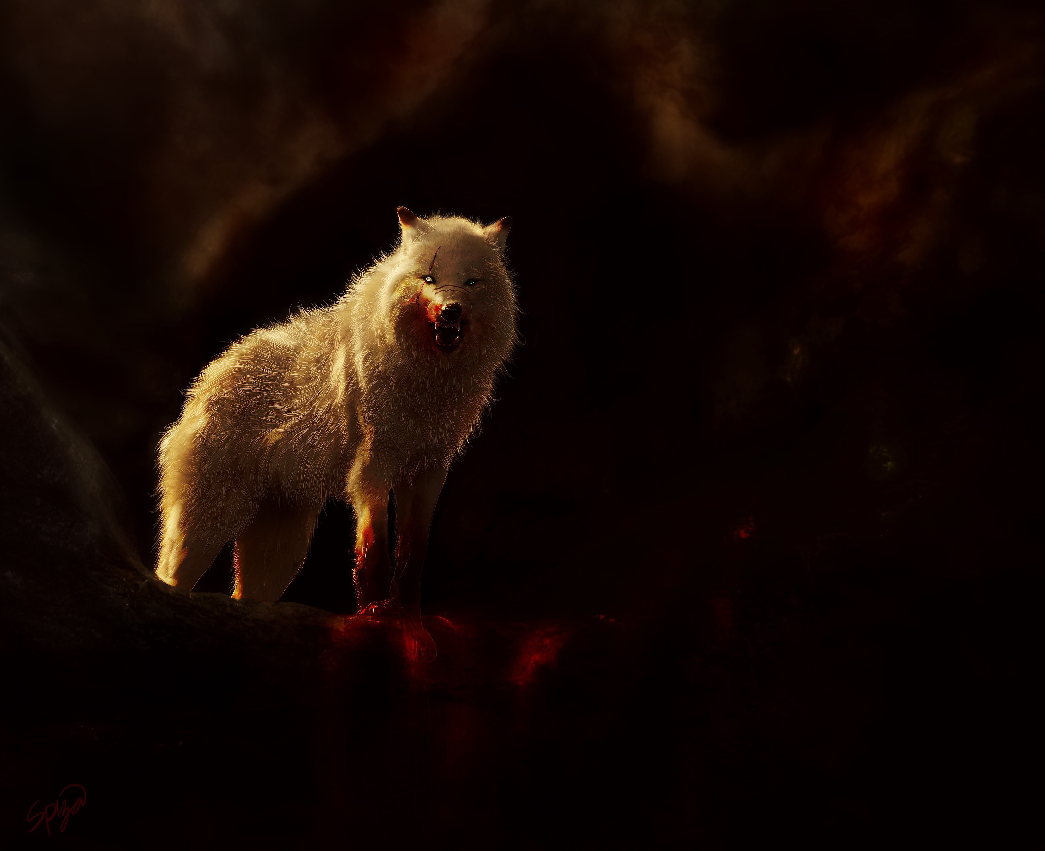 4K, Aggressive, Digital art, Arctic wolf, 4K, Predator, Wild, HD Wallpaper