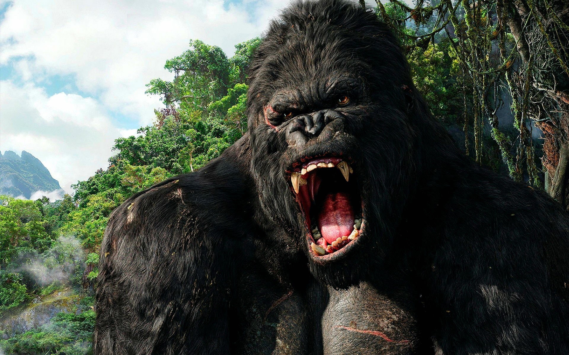 1080P, apes, King Kong, movies, Peter Jackson, HD Wallpaper