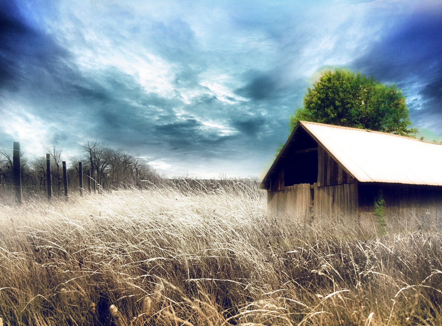 tree, sky, tranquil scene, 720P, building, built structure, grass, scenics - nature, landscape, rural scene, Call of Duty Modern Warfare, field, land, HD Wallpaper