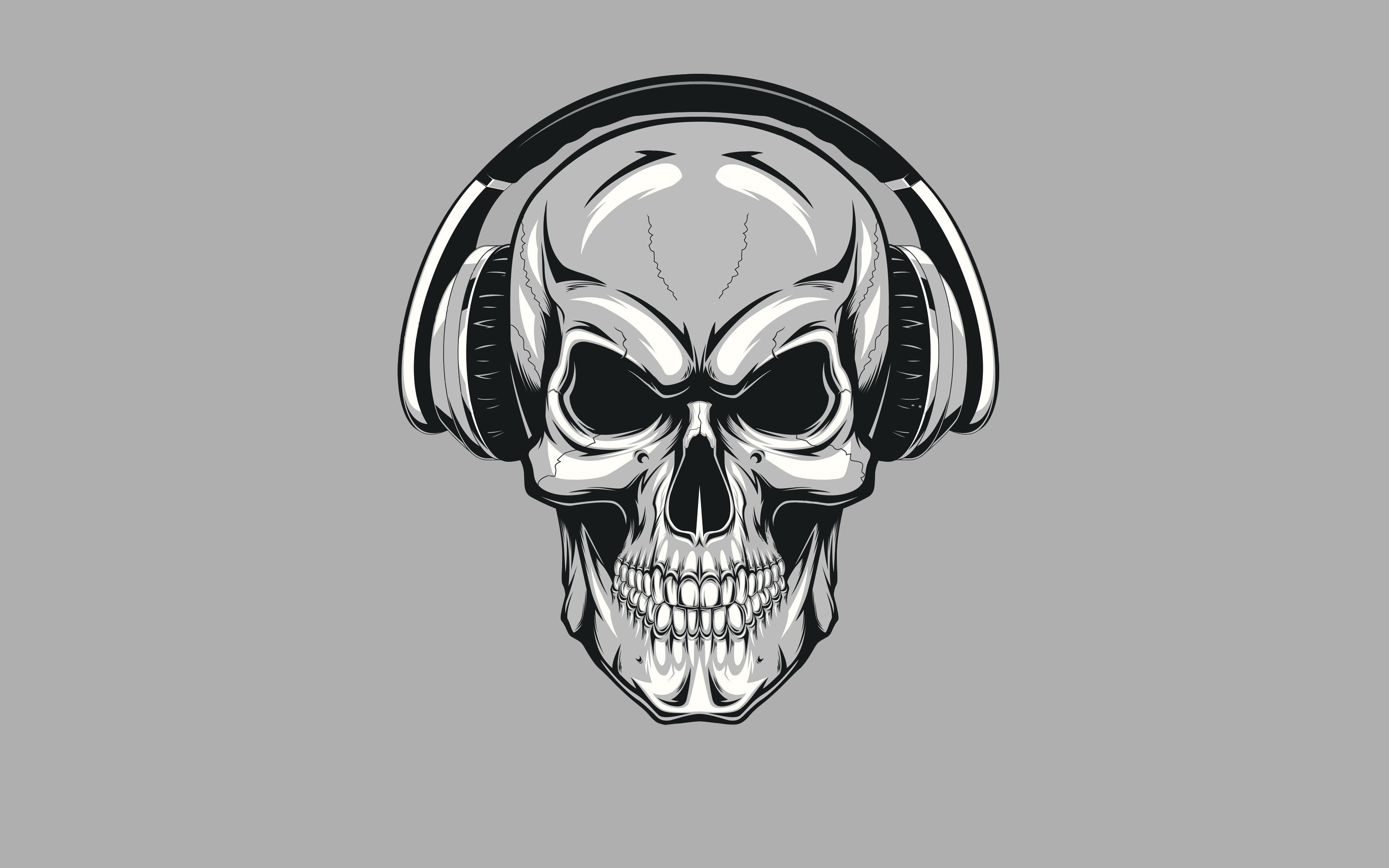 sake, front view, copy space, 2K, headphones, digital, low angle view, human skeleton, nature, shape, mask, no people, human, still life, black background, HD Wallpaper
