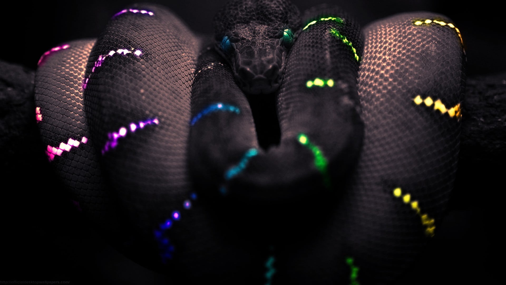 body part, human finger, selective coloring, pattern, indoors, focus, clothing, multi colored, adult, photography, fashion, black, one person, lifestyles, HD Wallpaper