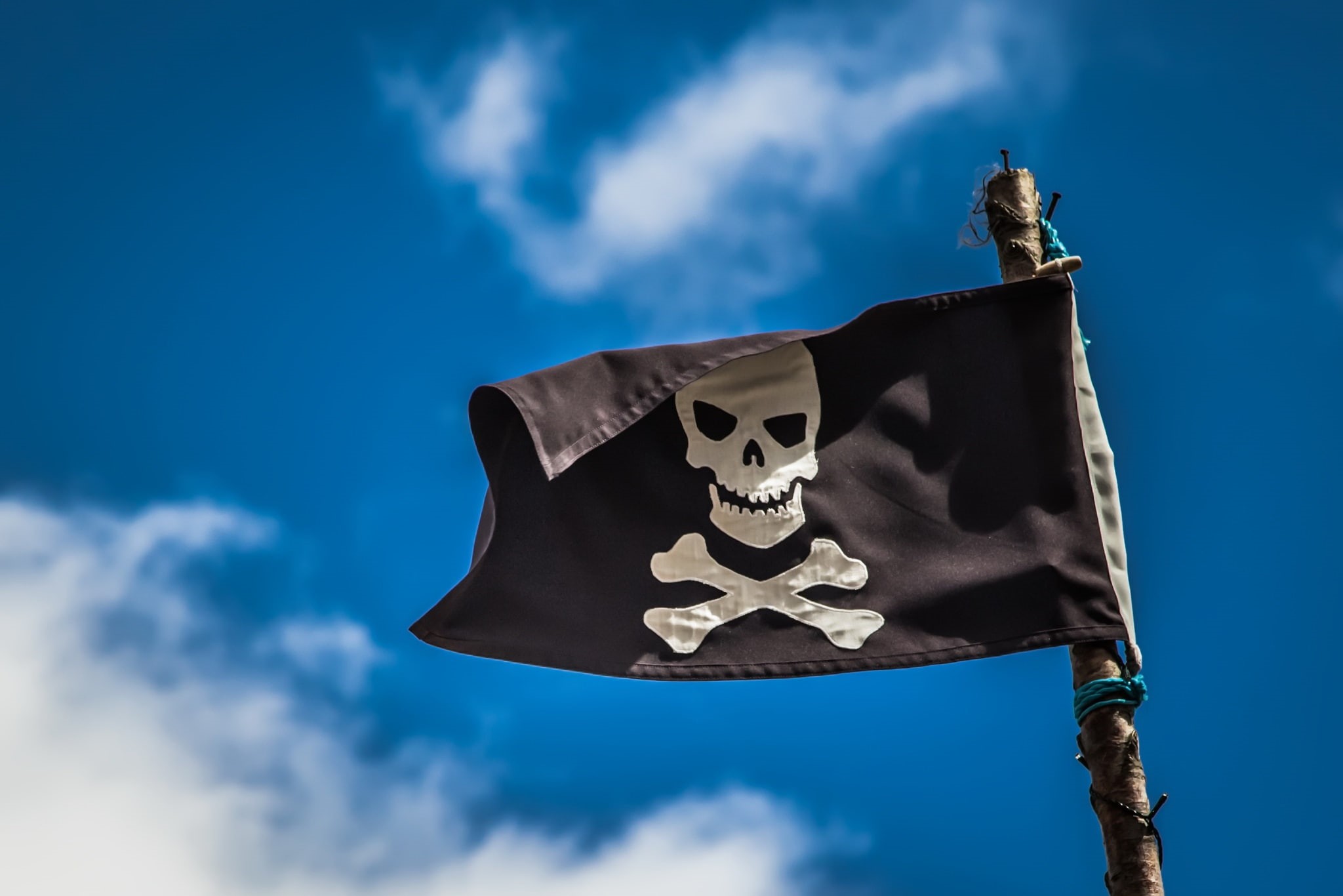 animal, skull, representation, sky, human skeleton, spooky, day, skeleton, bone, 1080P, low angle view, halloween, no people, fear, cloud - sky, blue, HD Wallpaper