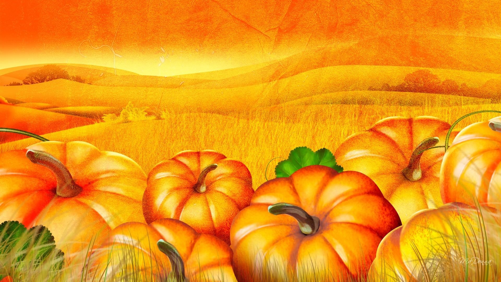 pumpkin, 1080P, patch, 3d and, halloween, orange, harvest, autumn, garden, field, thanksgiving, fall, firefox persona, HD Wallpaper