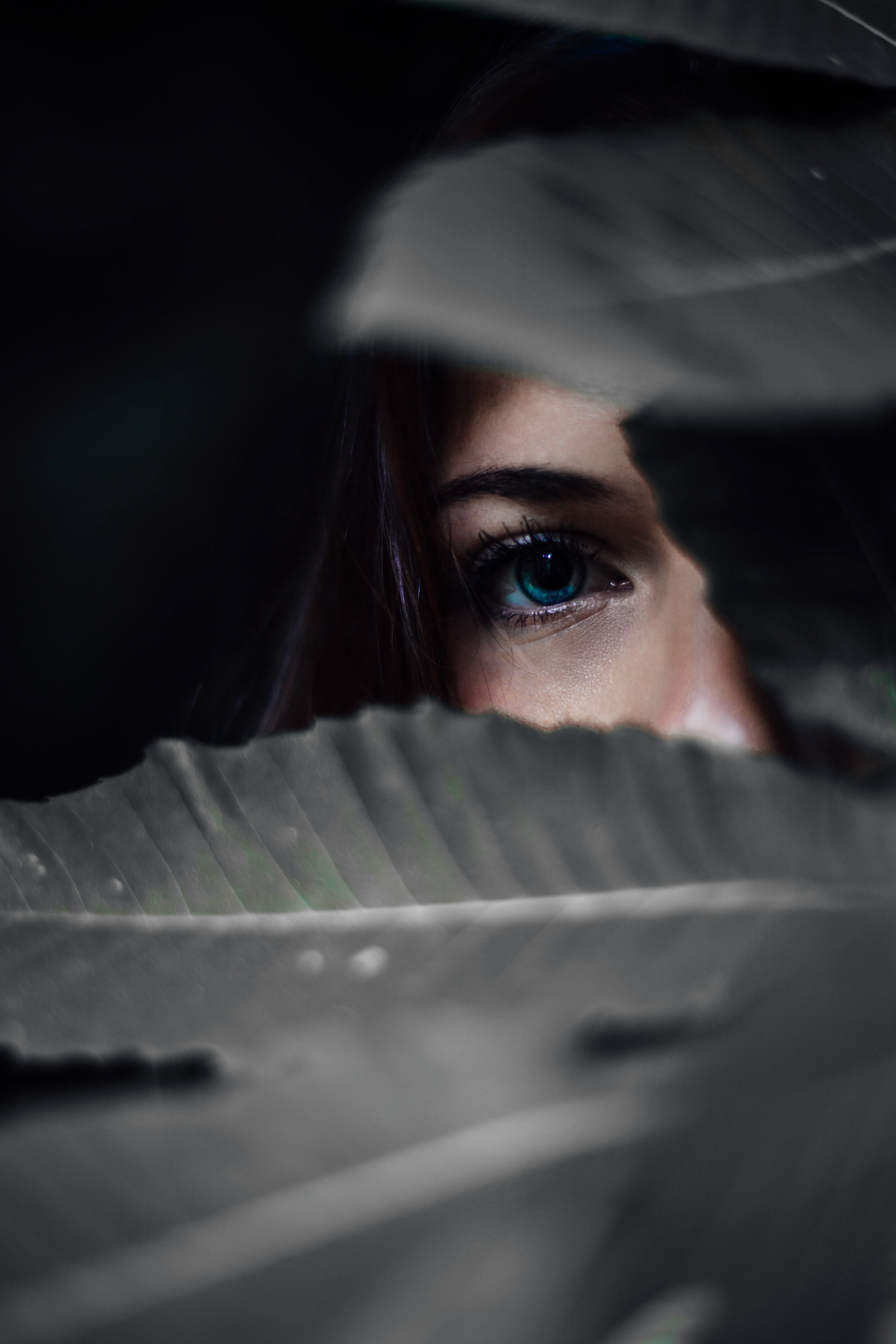 horror, danger, halloween, artistic, Dark, one young woman only, hide, portrait, eyes, selective focus, females, innocent, blue, beauty, eye, looking, people, Phone HD Wallpaper
