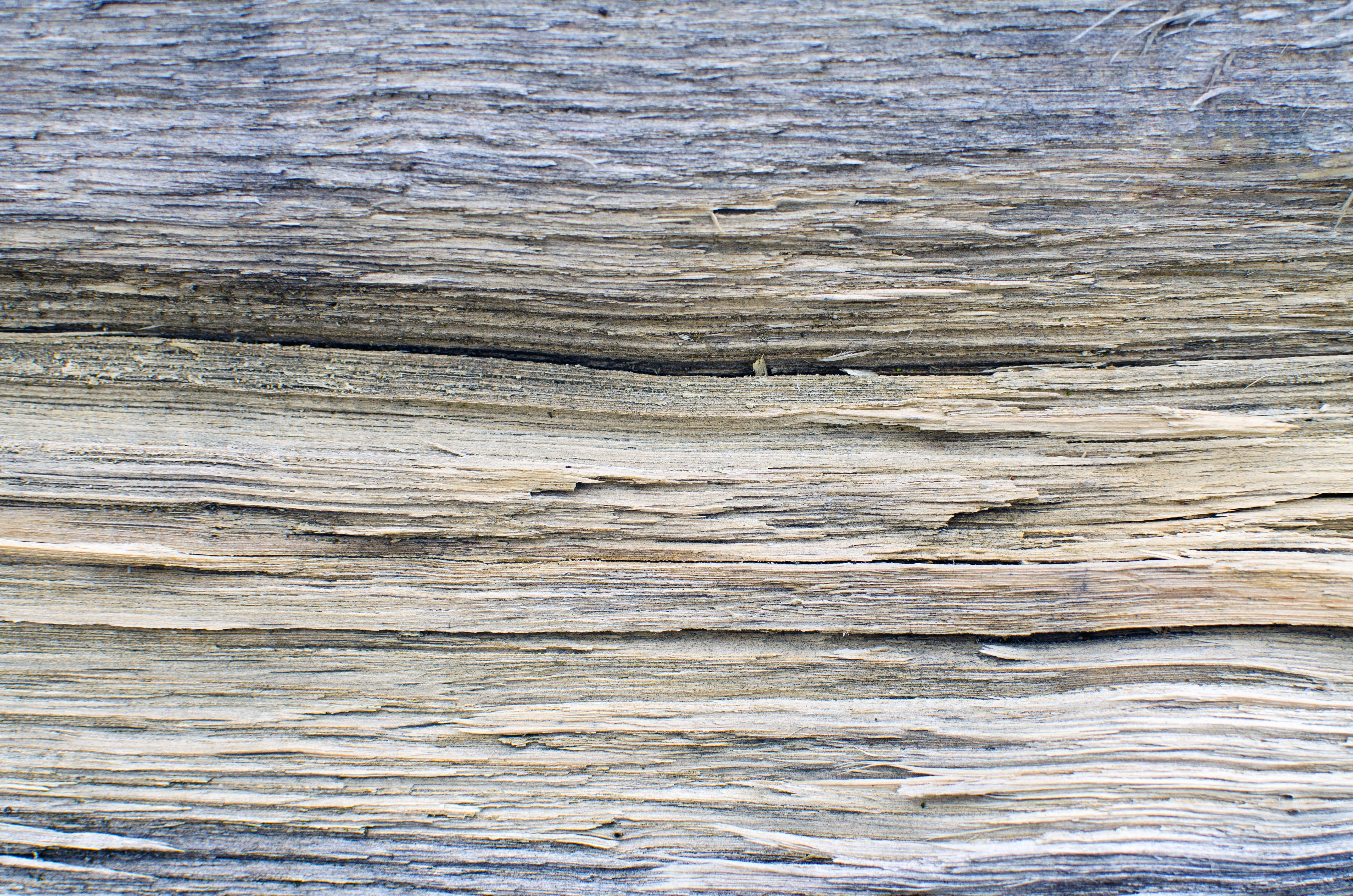 rough, wood grain, natural pattern, stromy, close-up, day, příroda, communication, no people, les, stromové kůry, textured, backgrounds, dřevo, wood - material, HD Wallpaper