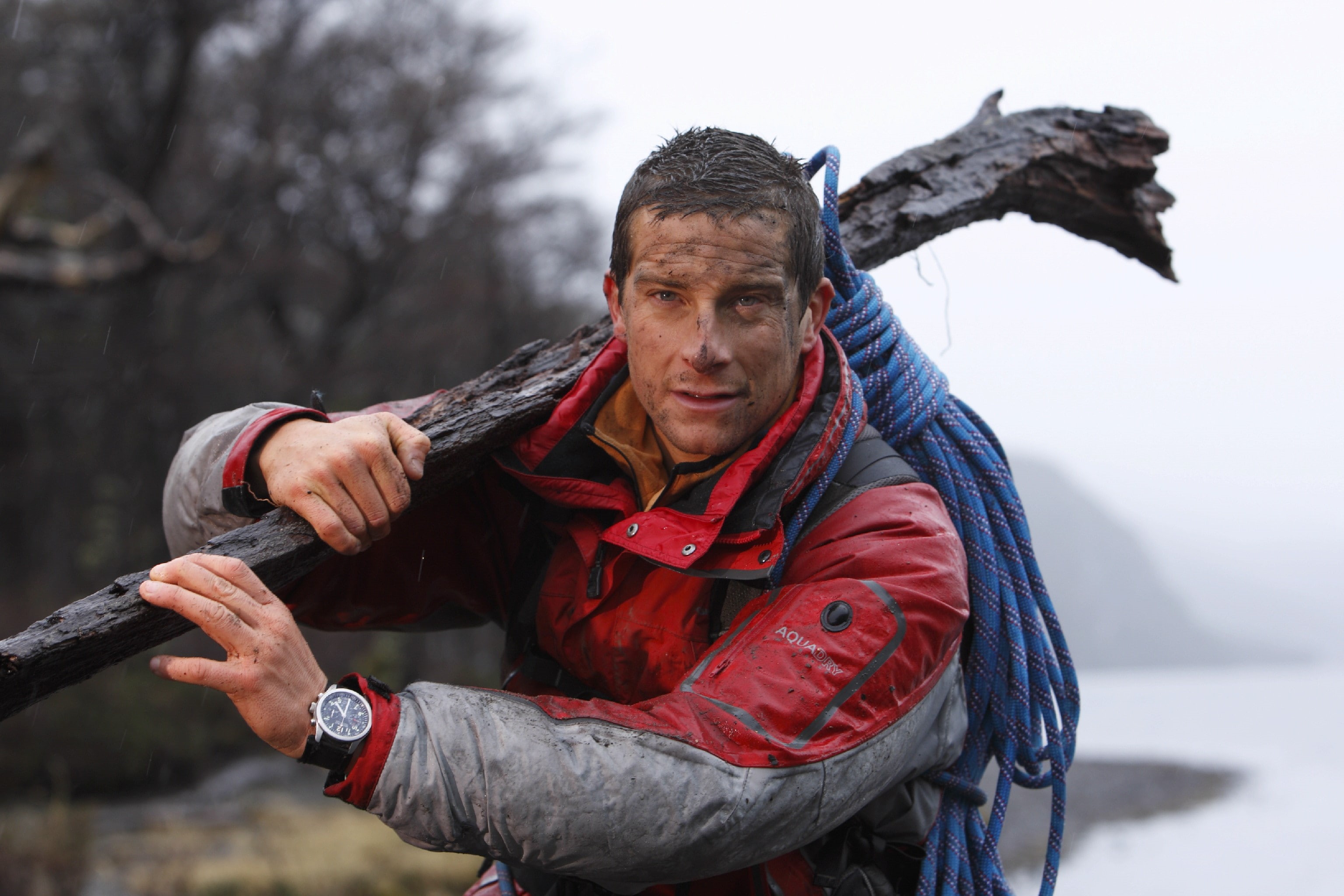 Bear Grylls, grylls, animals, art, wild, x, Man vs Wild, vs, survival, 2K, bear, man, hd, bears, HD Wallpaper