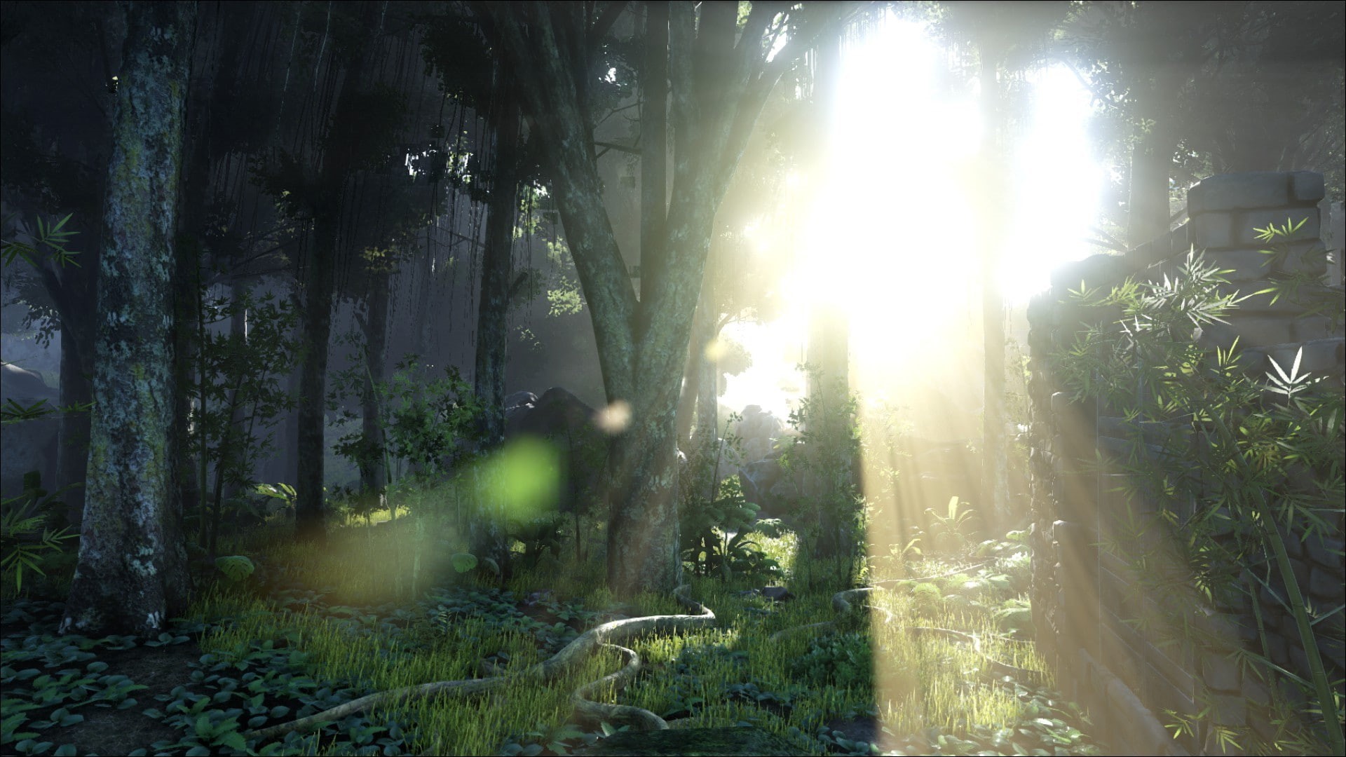 The Island, sunbeam, day, streaming, tree, tranquility, sky, 1080P, nature, trunk, video games, sunlight, tree trunk, outdoors, brightly lit, beauty in nature, HD Wallpaper