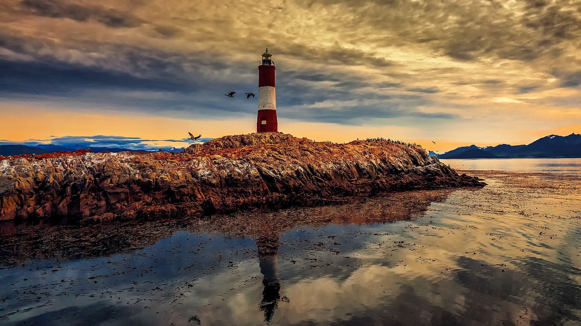 lighthouse, 1080P, beach, nature, Patagonia, ushuaia, HD Wallpaper