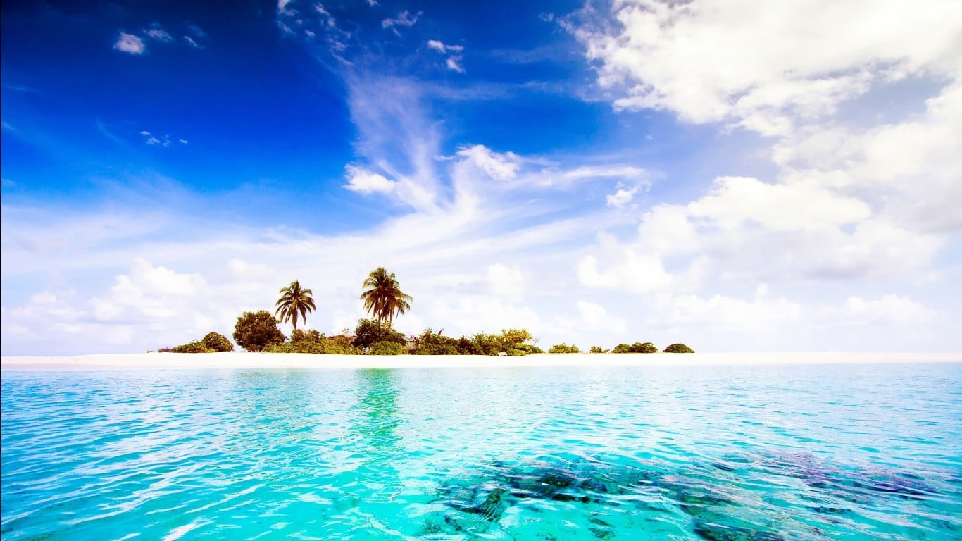 tree, plant, horizon, scenics - nature, sea, palm trees, tranquility, lagoon, coconut, turquoise colored, palm tree, tropical climate, sky, water, HD Wallpaper
