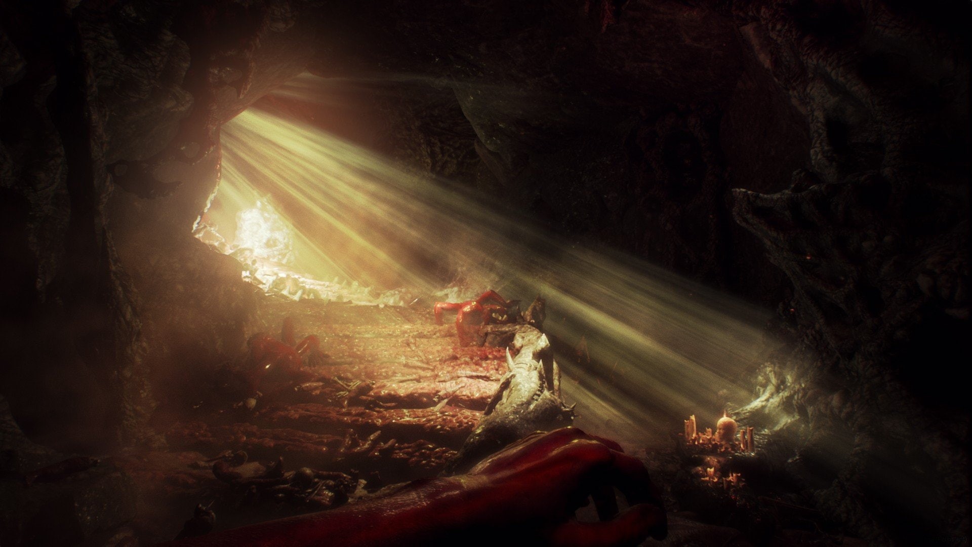performance, art, light - natural phenomenon, event, forest, long exposure, video, Agony (game), people, tree, kratos, indoors, sunbeam, light, enjoyment, HD Wallpaper
