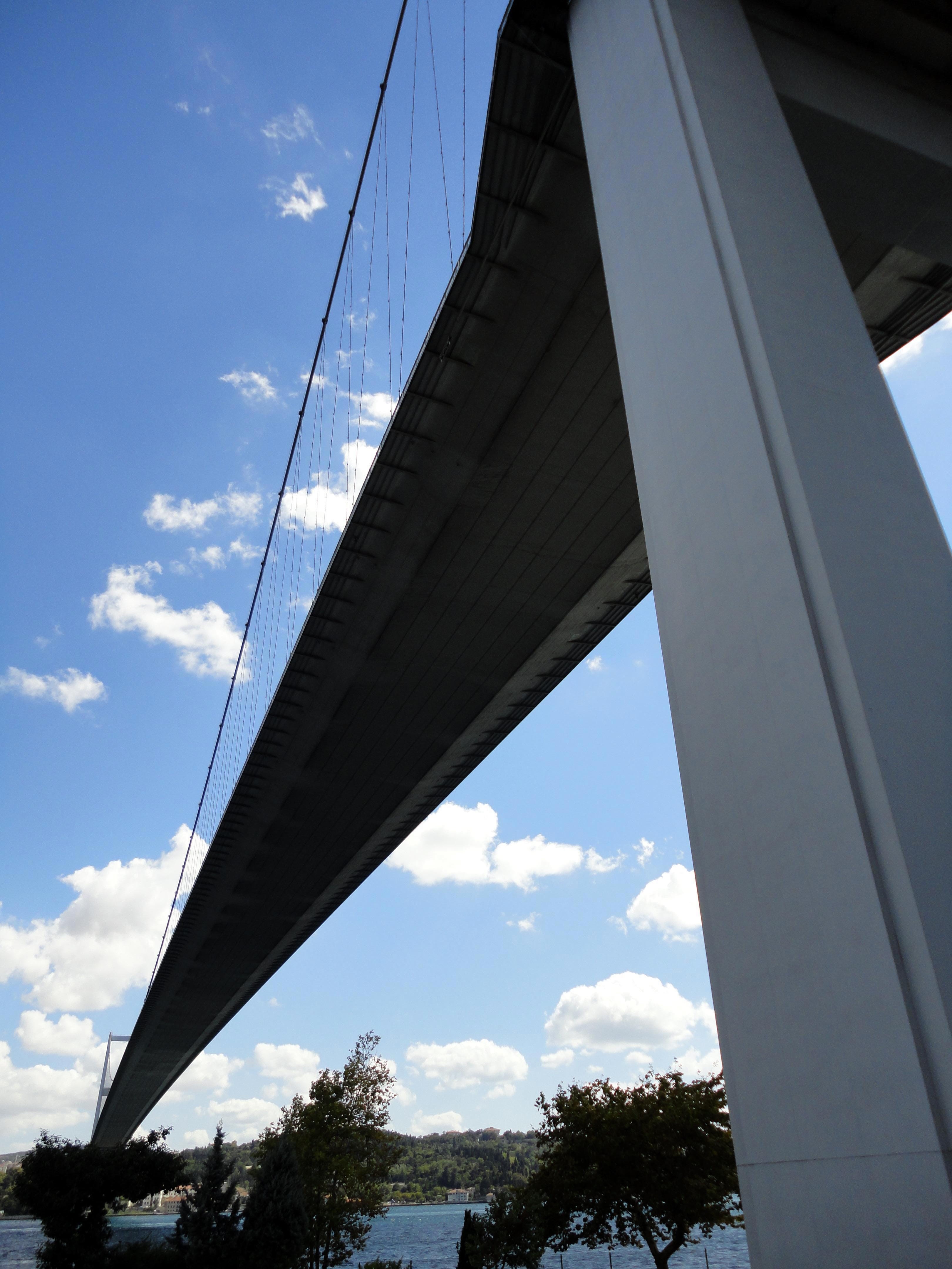 connection, day, cloud - sky, architectural column, built structure, overpass, bridge, plant, engineering, sky, nature, 4K, architecture, outdoors, low angle view, Phone HD Wallpaper