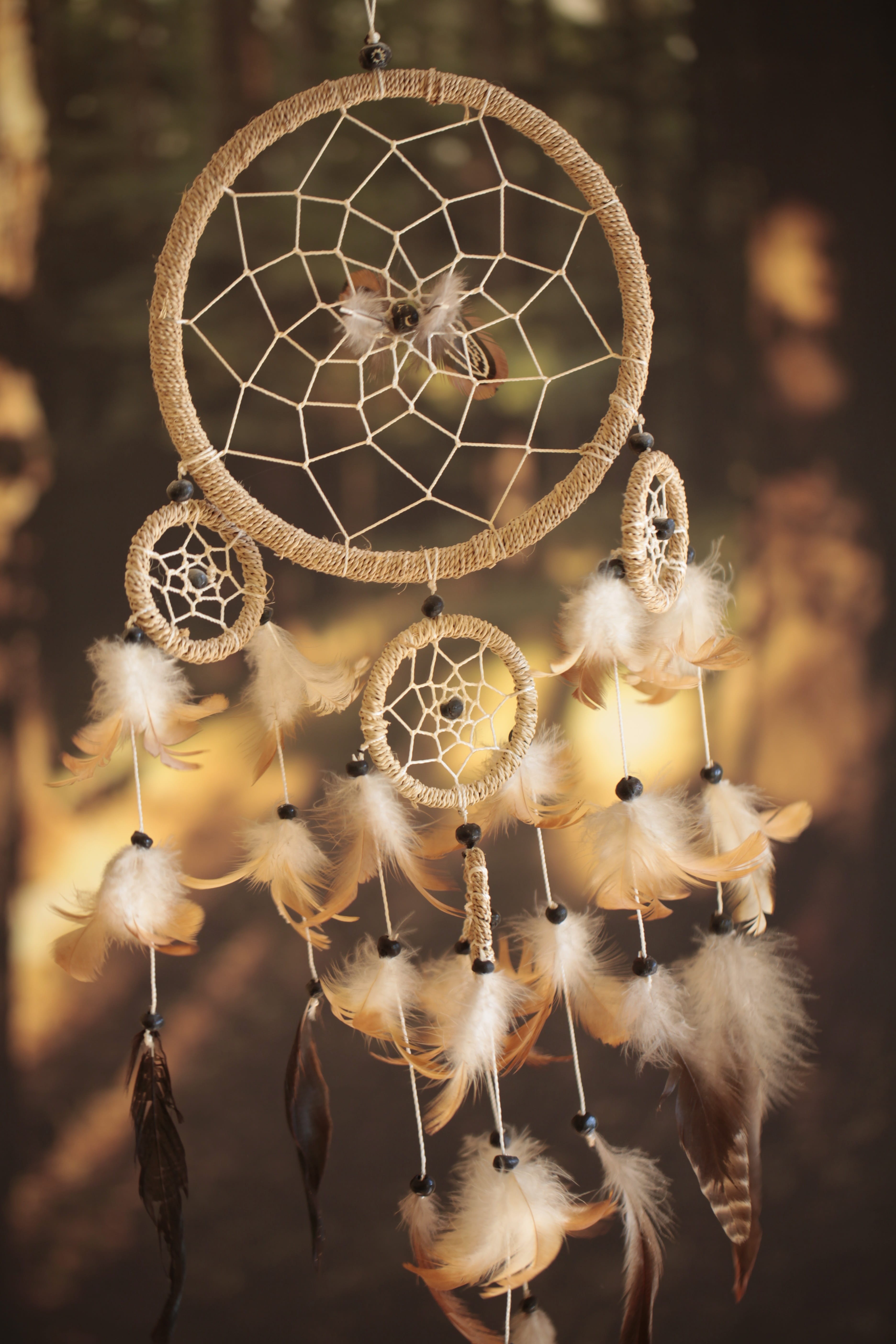 religious equipment, 5K, focus on foreground, dreamlike, sleep, nature, magic, no people, a dream, decoration, shape, softness, feathers, craft product, Phone HD Wallpaper