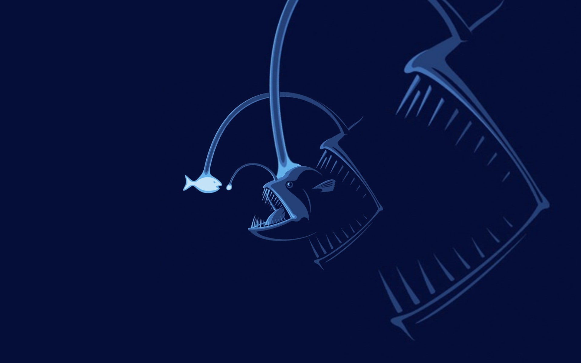 fish, Anglerfish, 1080P, blue, humor, HD Wallpaper