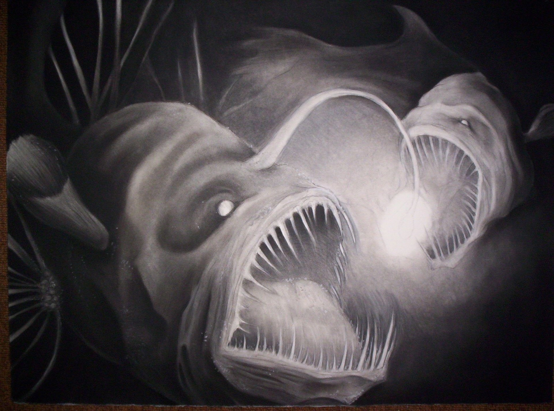 Animal, 1080P, Anglerfish, Fish, HD Wallpaper