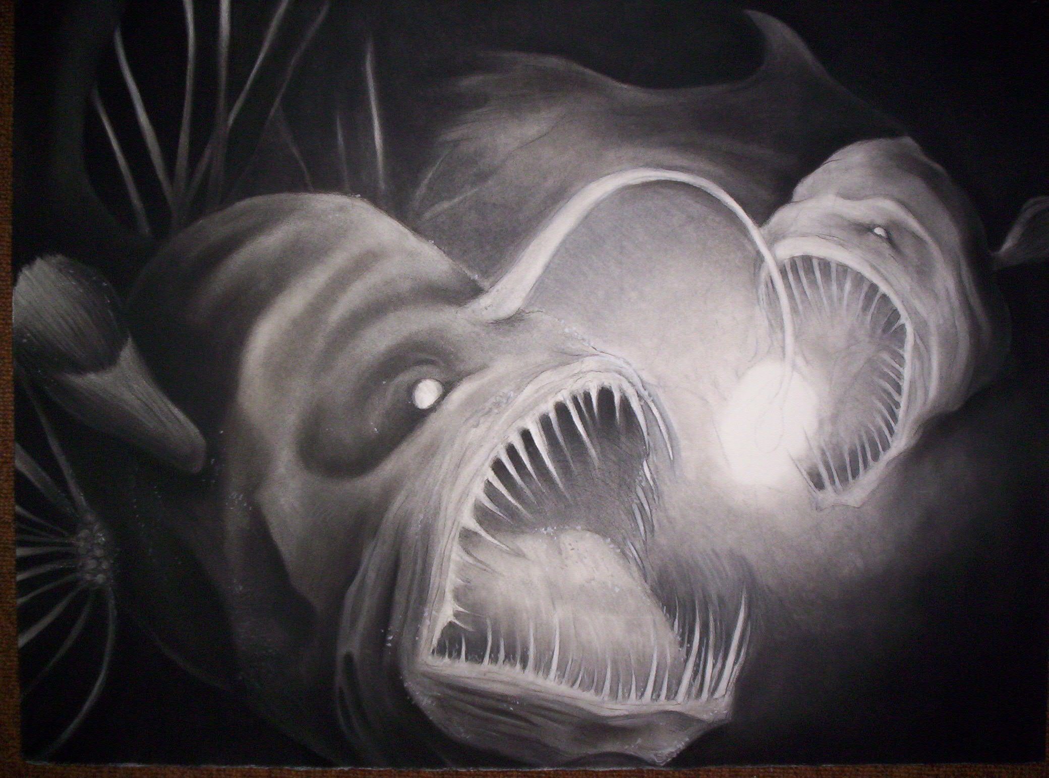 1080P, anglerfish, HD Wallpaper