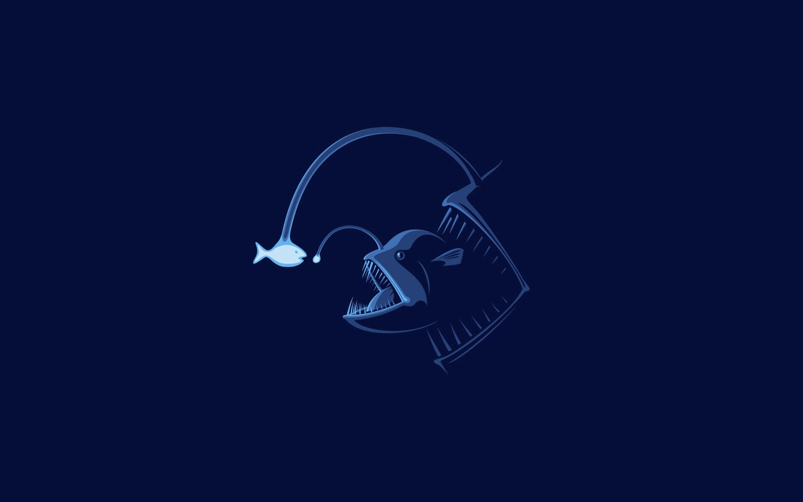 monster, night, close-up, nature, fangs, indoors, studio shot, representation, lighting equipment, sea, black background, environment, Dark, underwater, HD Wallpaper