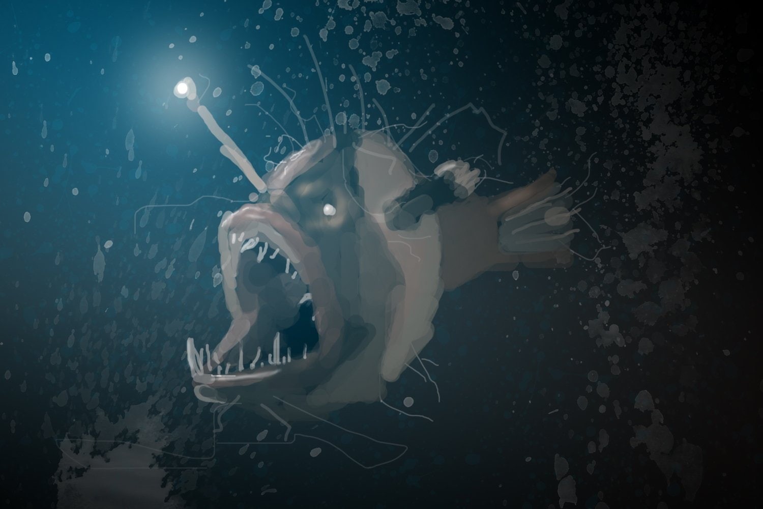 720P, Fish, Animal, Anglerfish, HD Wallpaper
