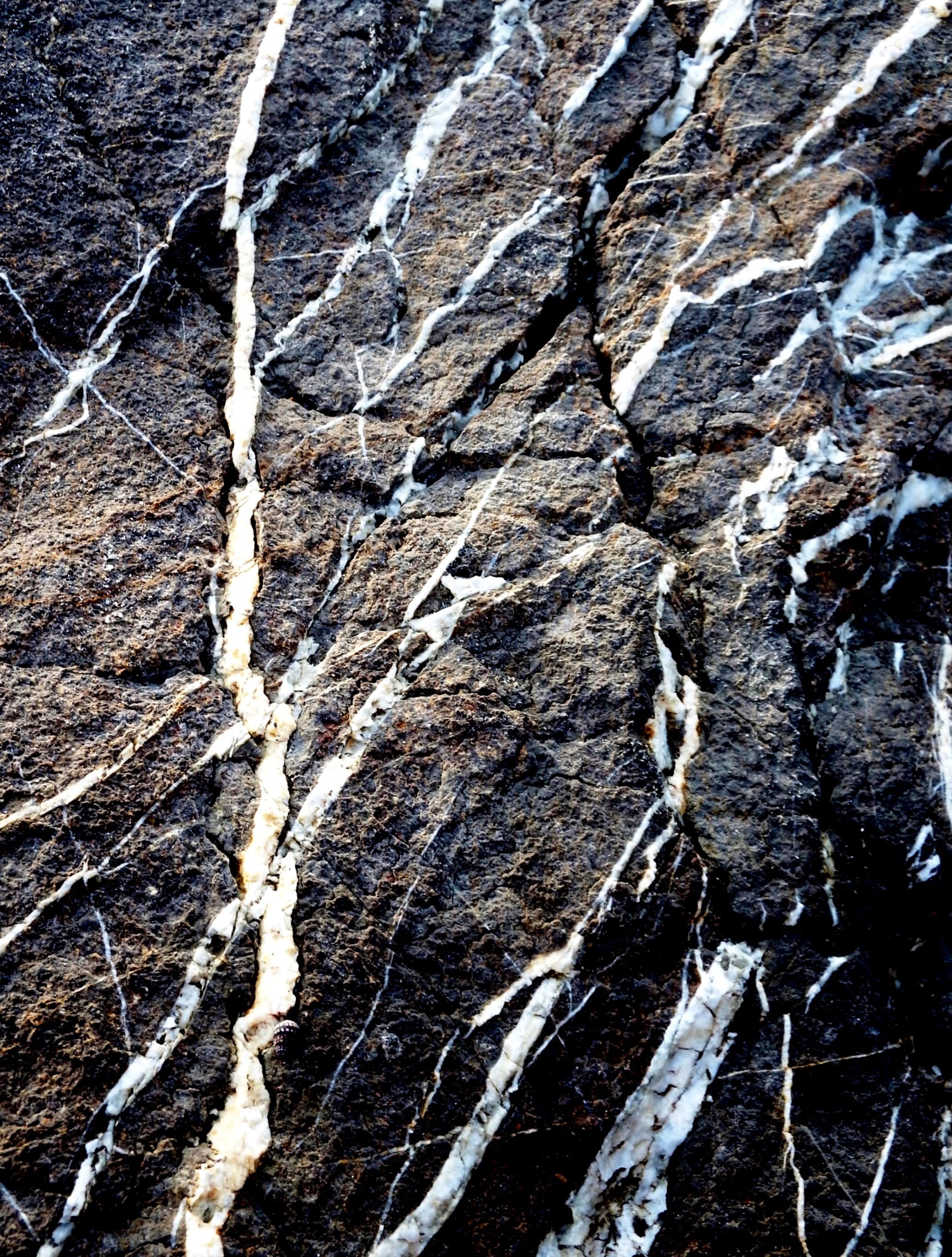 hard, textured, abstract, black and white, surface, detail, abstract backgrounds, boulder, 2K, lines, backgrounds, contrast, pattern, veins, closeup, textured effect, Phone HD Wallpaper