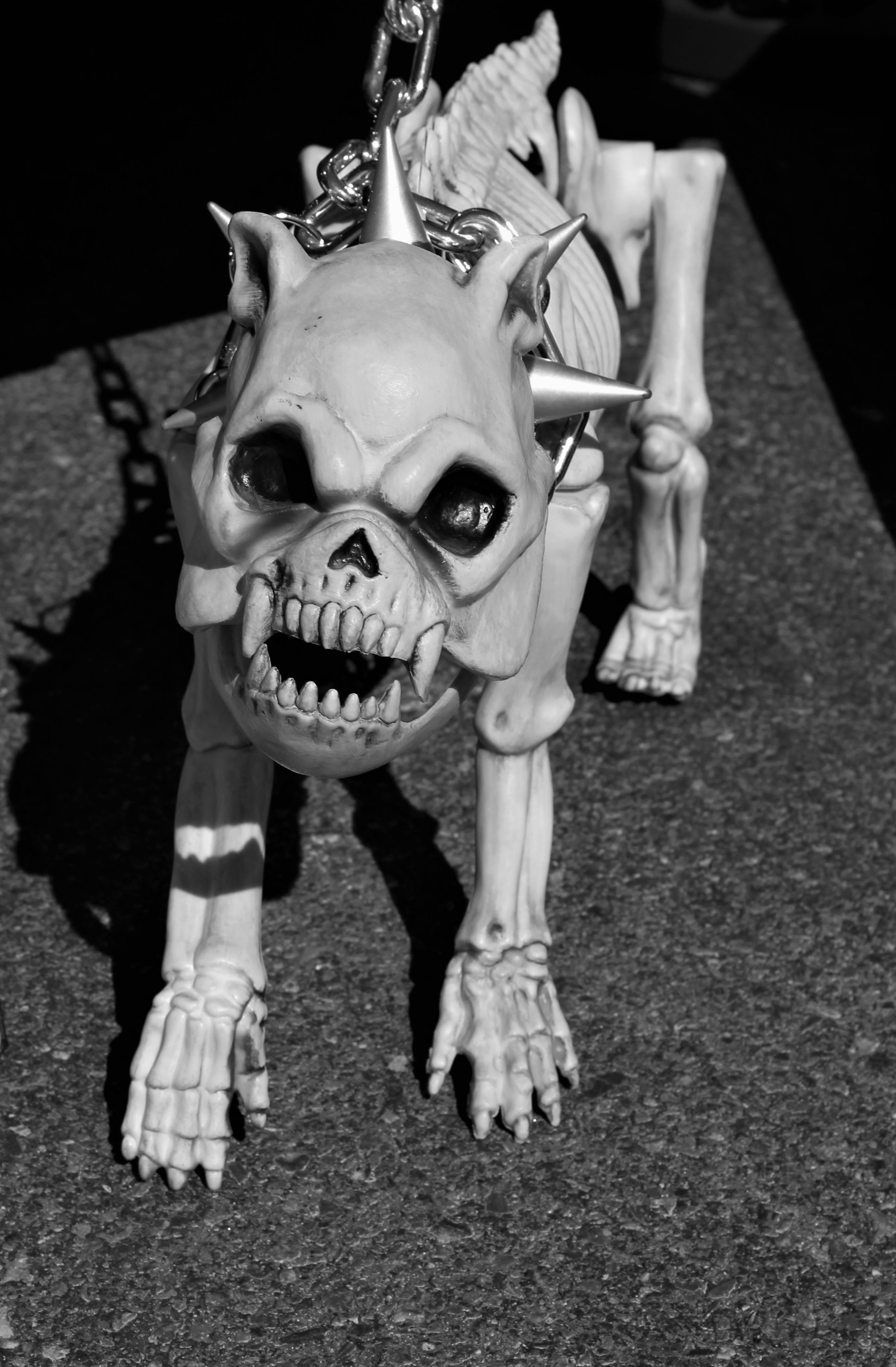 holiday, monster, animal body part, amber avalona, terrified, spiked dog collar, halloween decorations, creepy, skeleton dog, halloween contest, guardian, Phone HD Wallpaper