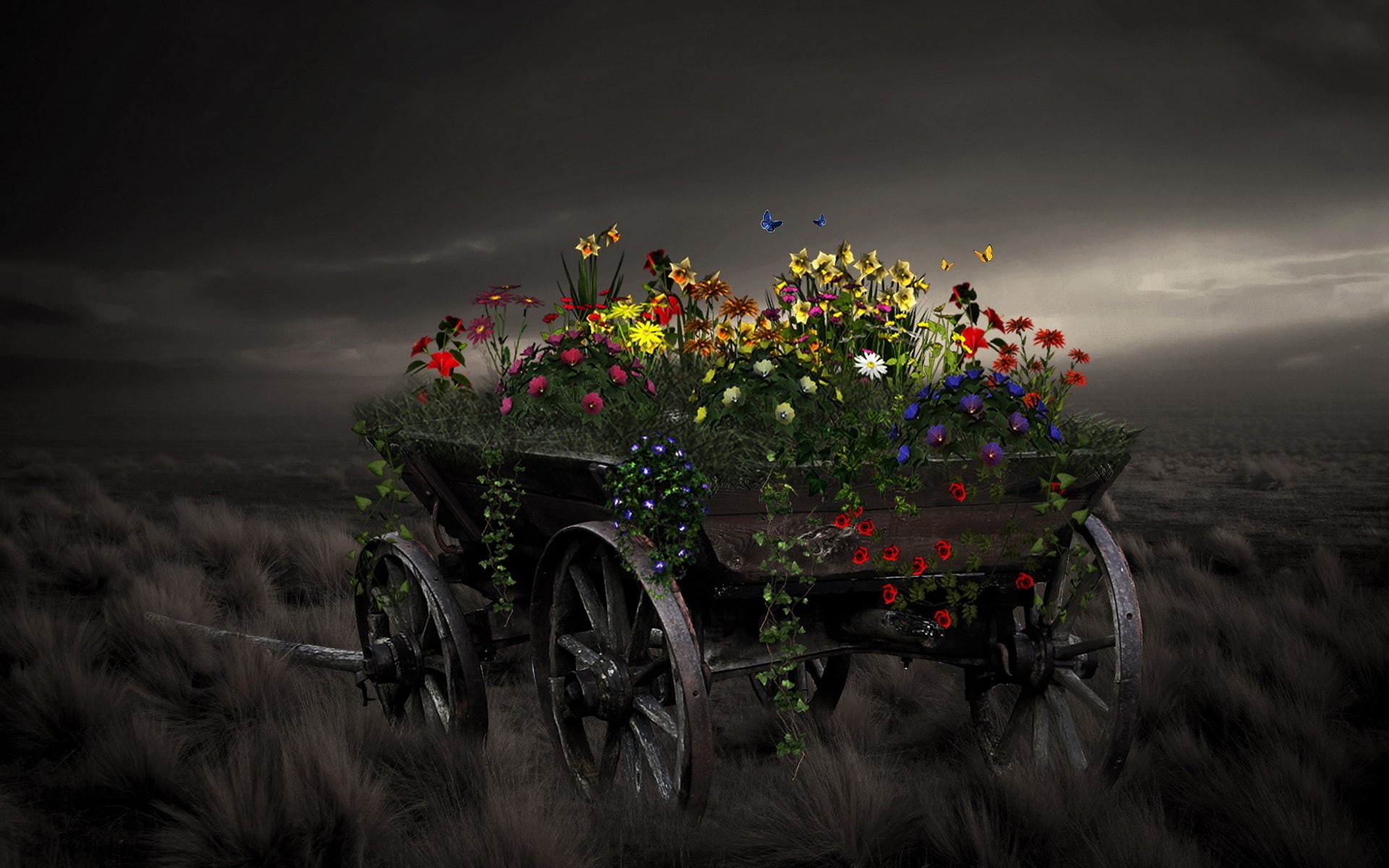 plants, paintings, stars, hd, 1080P, wagon, px, grass, Fields, Clouds, Light, Moon, sky, Landscapes, art, dark, 1920x1200 px, nature, space, Flowers, fantasy, HD Wallpaper