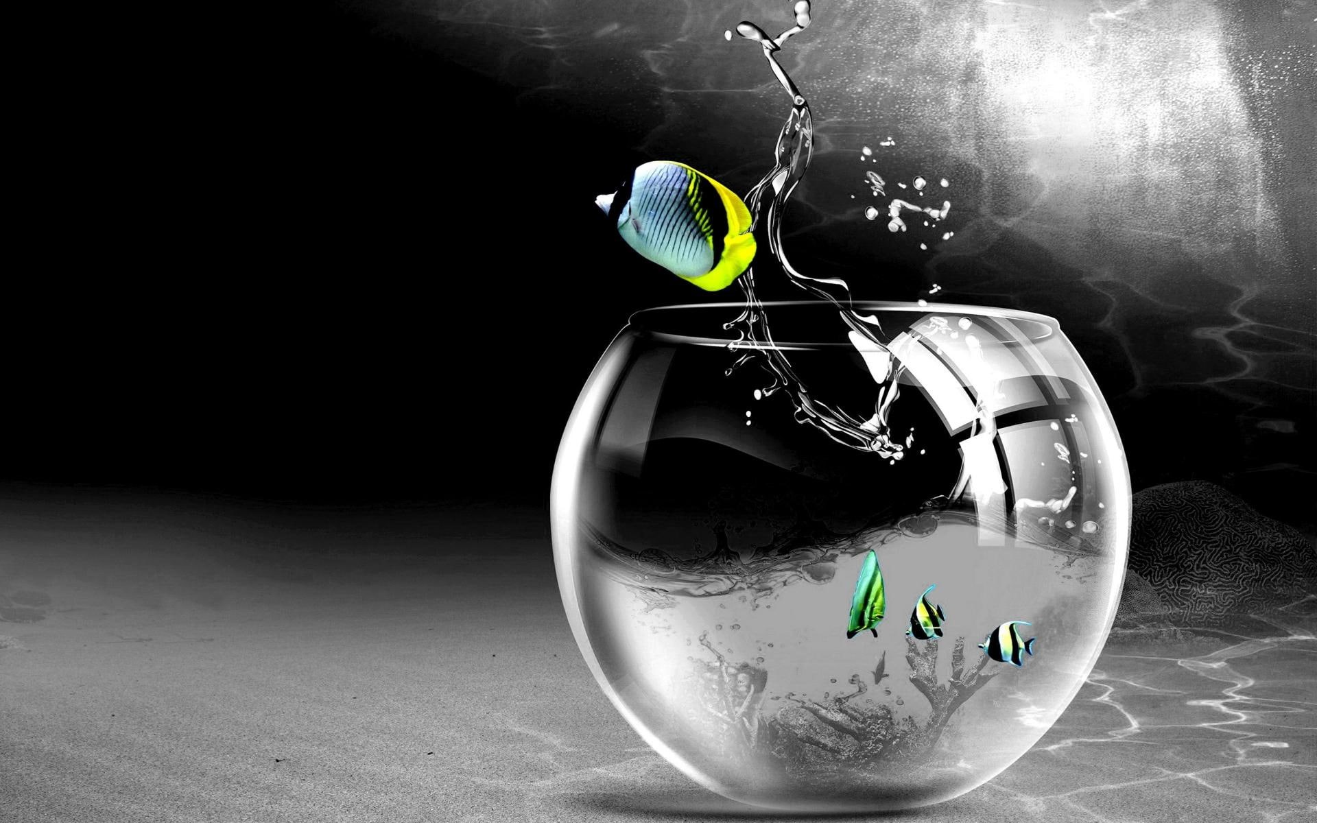 drops, digital, cg, art, 1080P, high, aquarium, resolution, pictures, fishes, splash, glass, bowl, HD Wallpaper