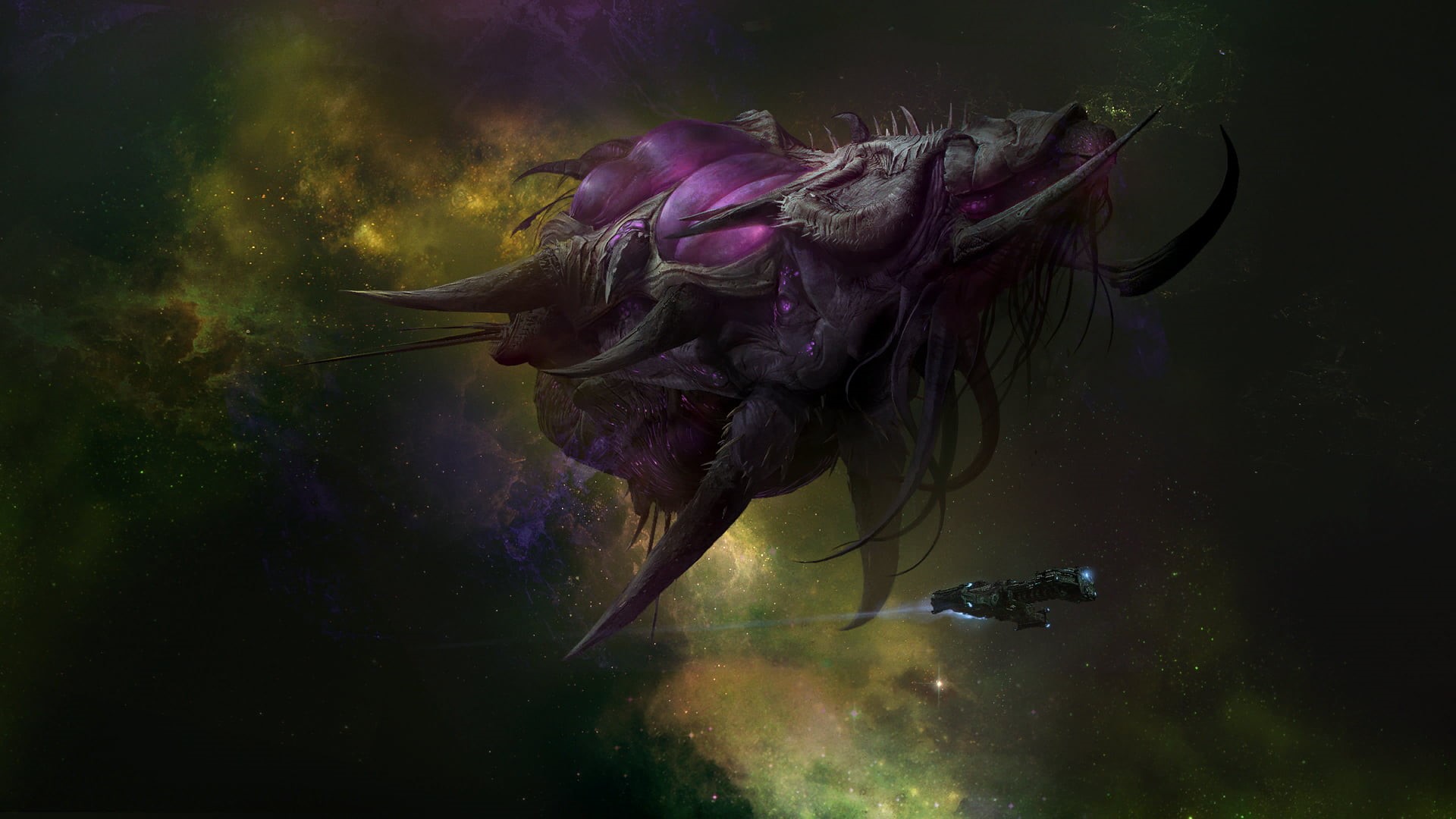 plant, nature, outdoors, animals in the wild, animal themes, underwater, animal, reflection, StarCraft II : Heart Of The Swarm, purple, StarCraft, video games, HD Wallpaper