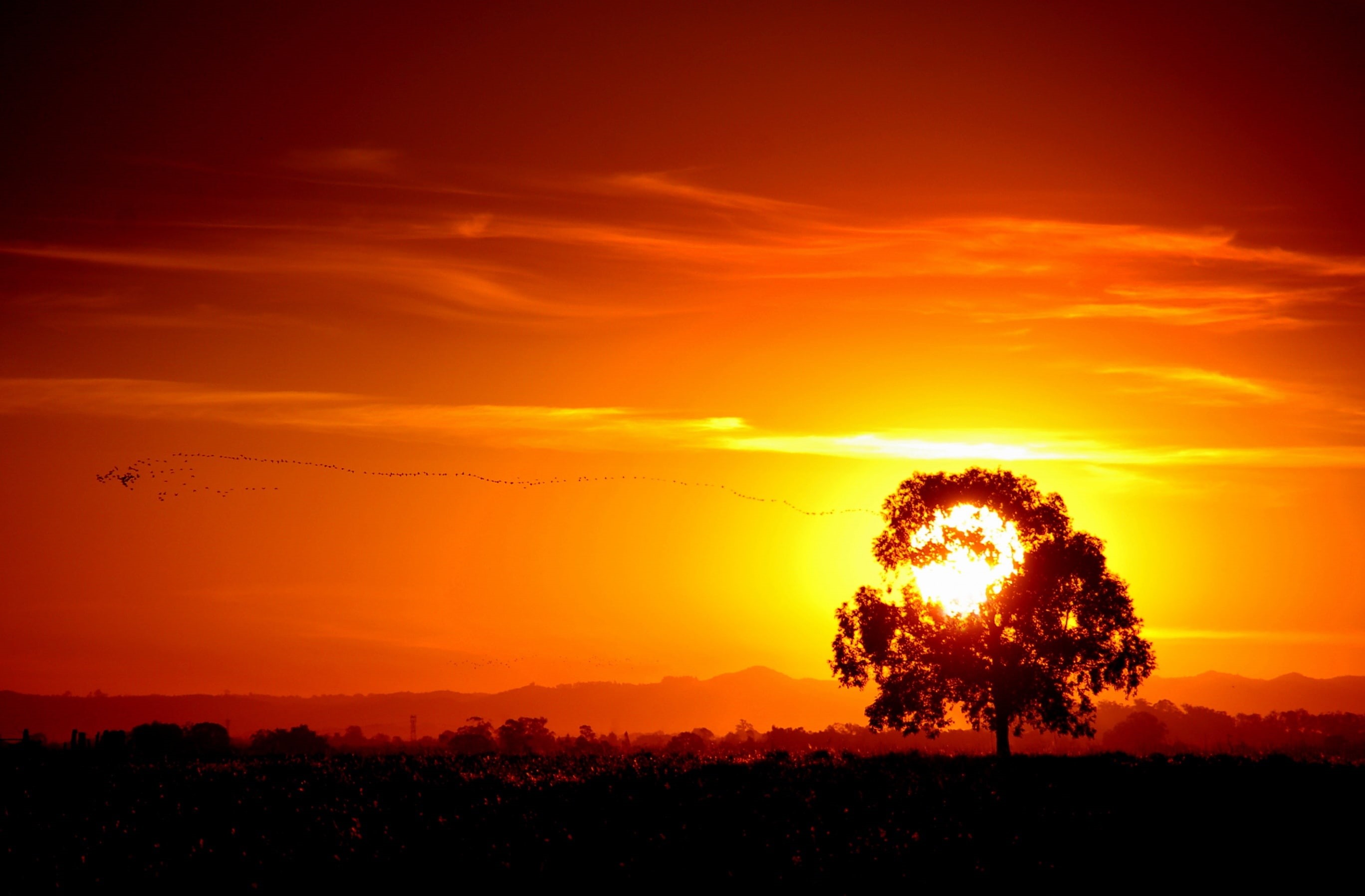 soleil, costadoce, amerique, orange color, non-urban scene, poniente, cloud - sky, pelotas, idyllic, sudamerica, ameriquedusud, tranquil scene, sky, americadelsud, HD Wallpaper
