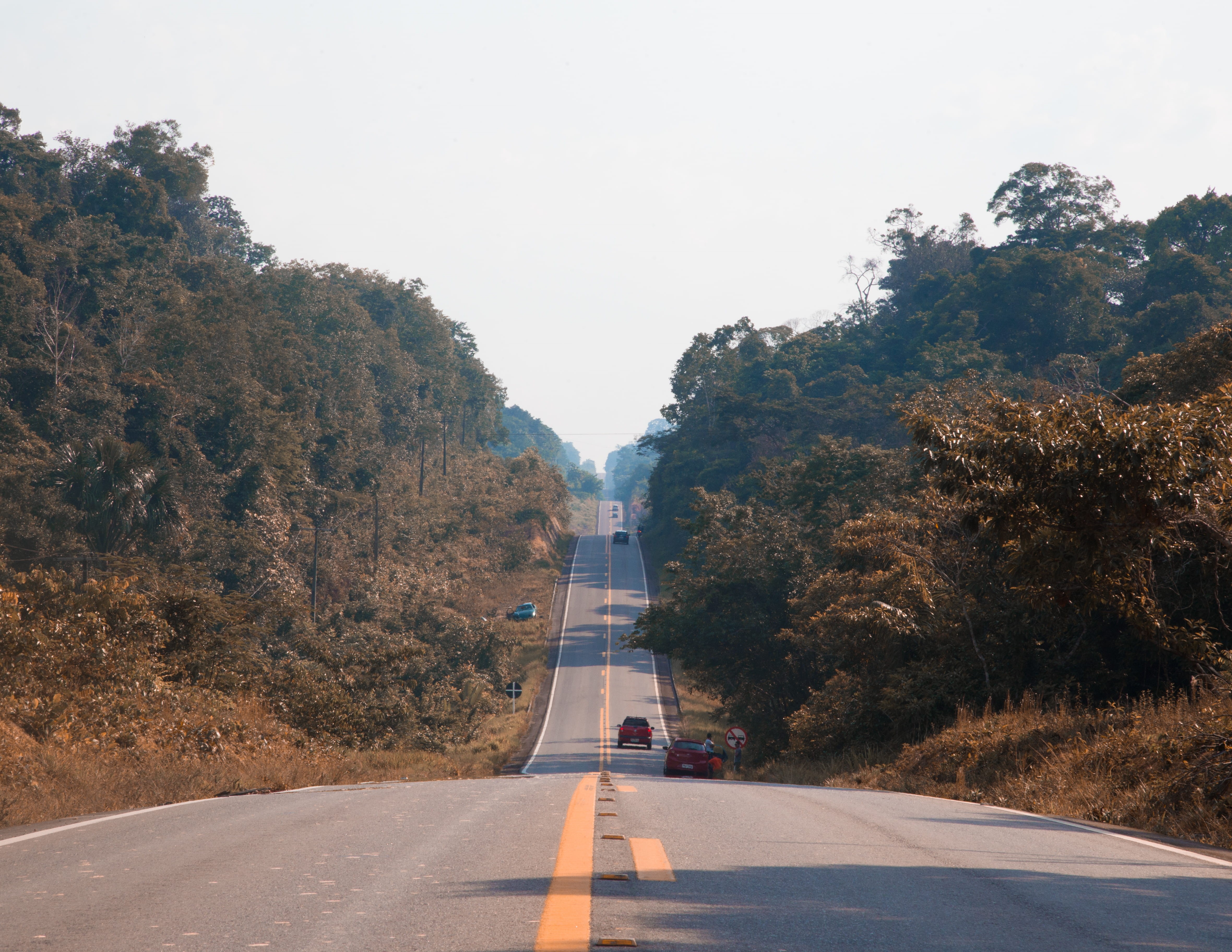 sign, road marking, nature, day, tree, plant, diminishing perspective, forest, no people, amazon, southamerica, 4K, direction, brasil, dividing line, symbol, HD Wallpaper