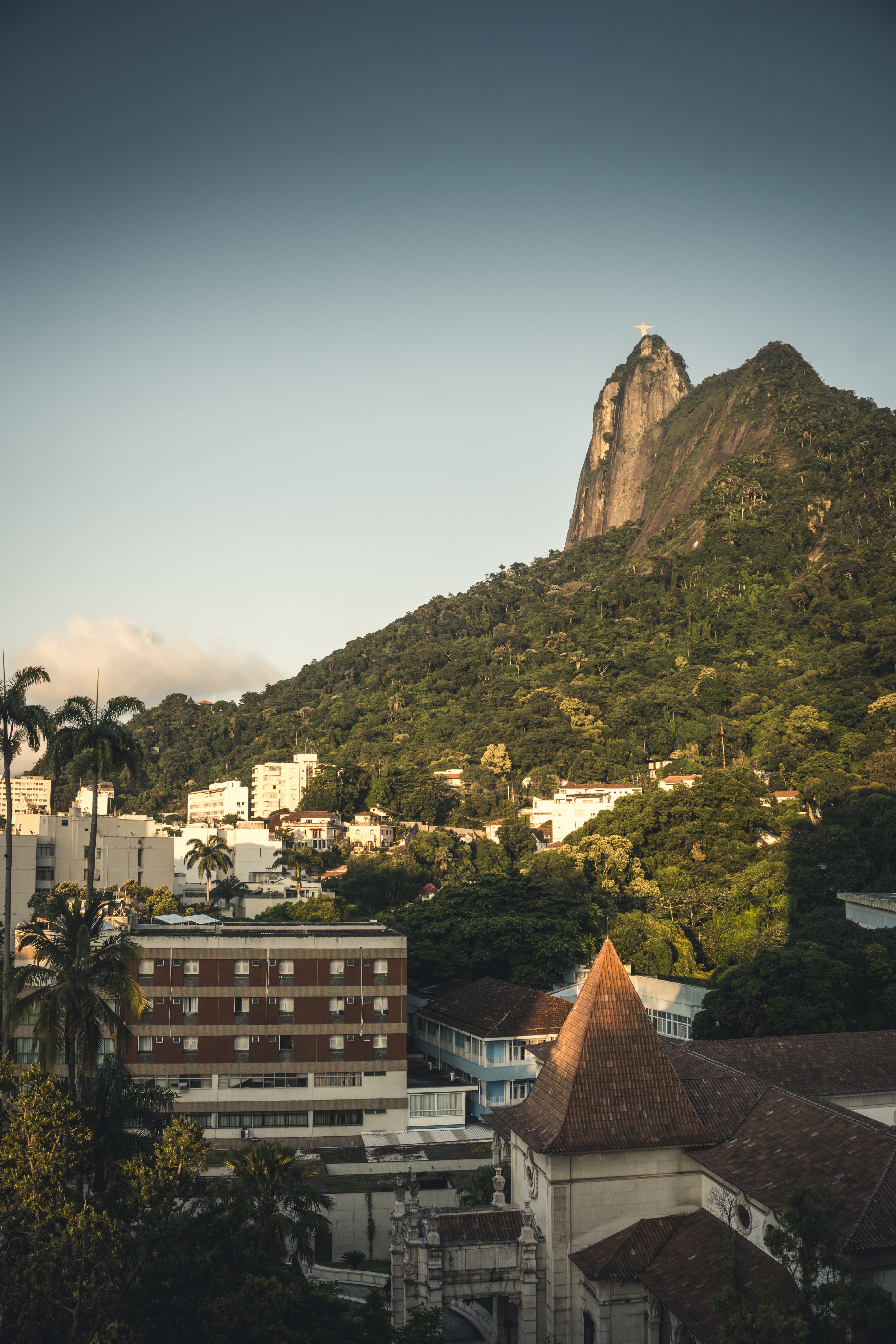 nature, forest, mountain, roam, southamerica, rainforest, formation, built structure, riodejaneiro, unsplash, 5K, townscape, travel, scenics - nature, Phone HD Wallpaper
