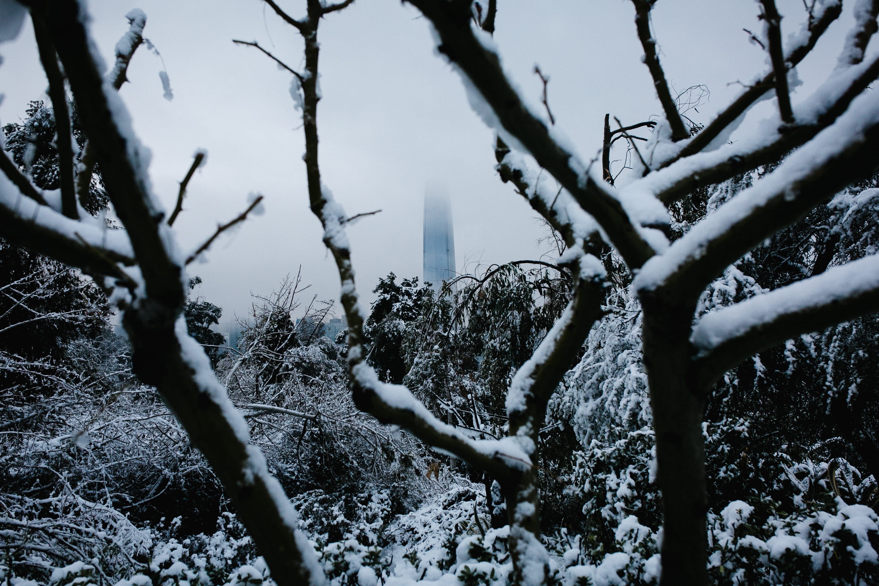snow, tranquility, beauty in nature, day, winter, covering, clouds, building, nature, plant, outdoors, land, tree, blue, morning, growth, 2K, no people, HD Wallpaper