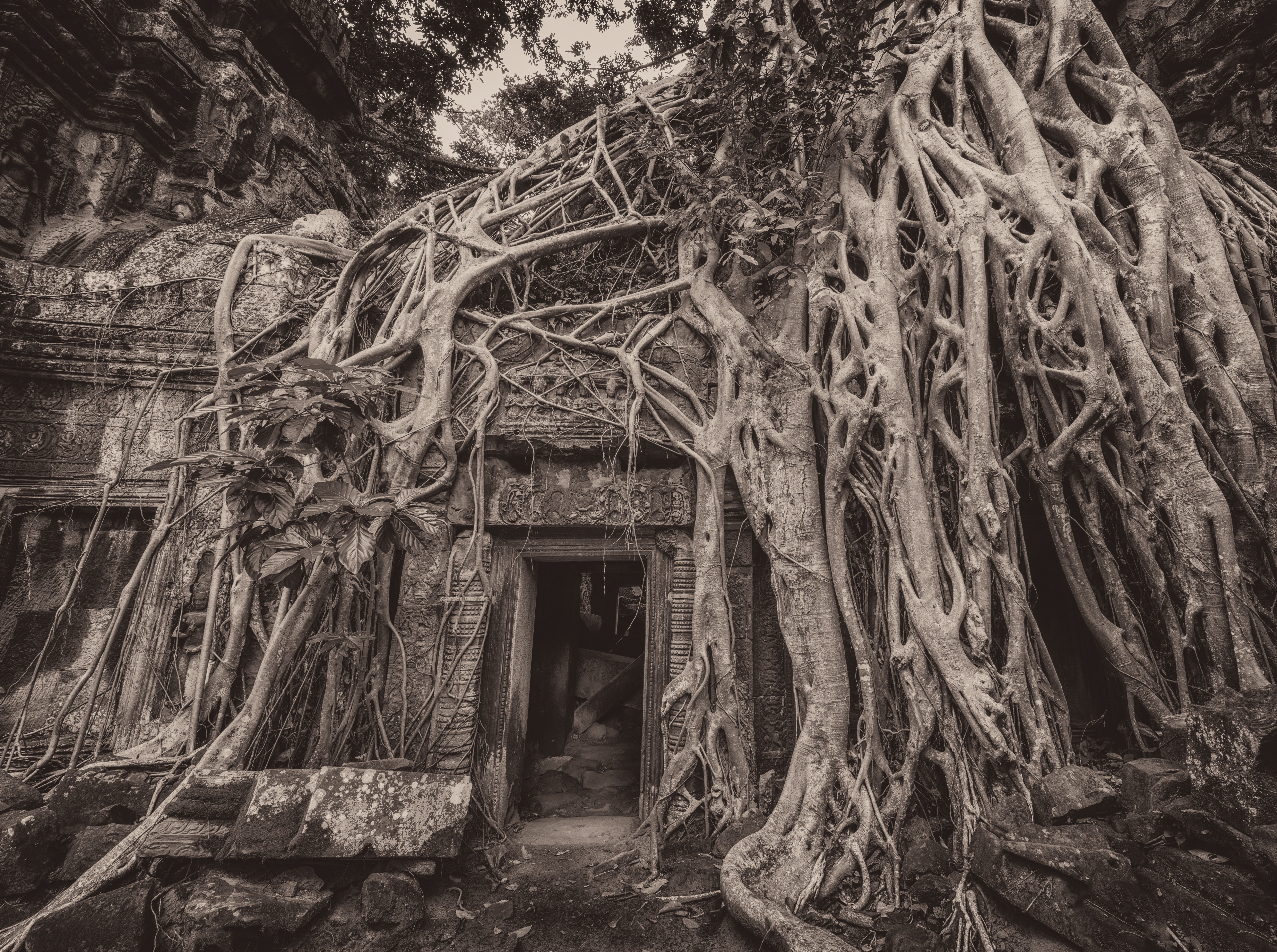 Cambodia, day, reap, outdoors, Cloudy, Trees, archaeology, TombRaider, phrom, southeastasia, building exterior, damaged, weathered, Temple, Tomb, house, HD Wallpaper