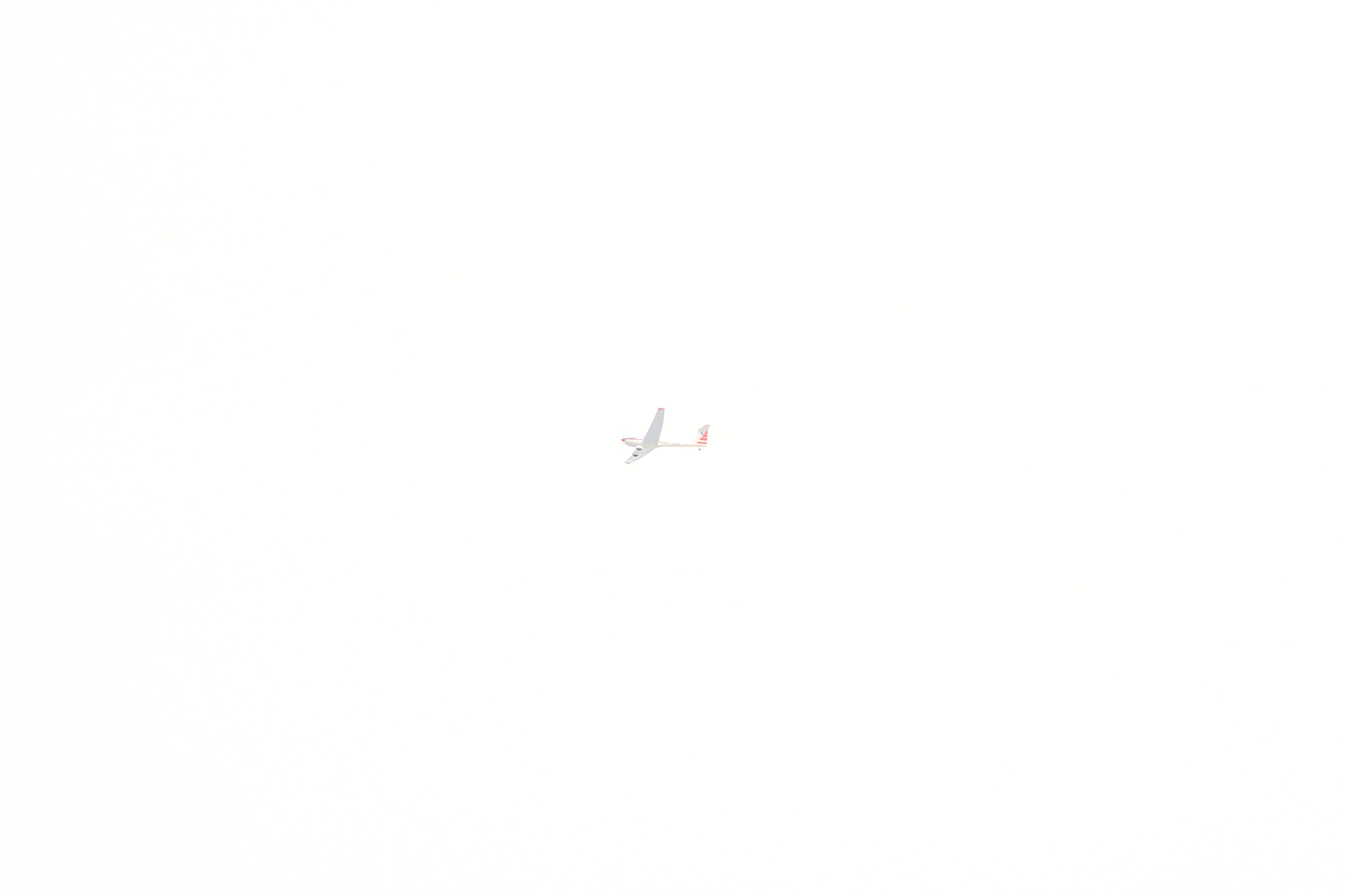 plane, animal themes, animal wildlife, motion, flying, clean, passenger, air vehicle, animals in the wild, mode of transportation, no people, mid-air, bar, HD Wallpaper