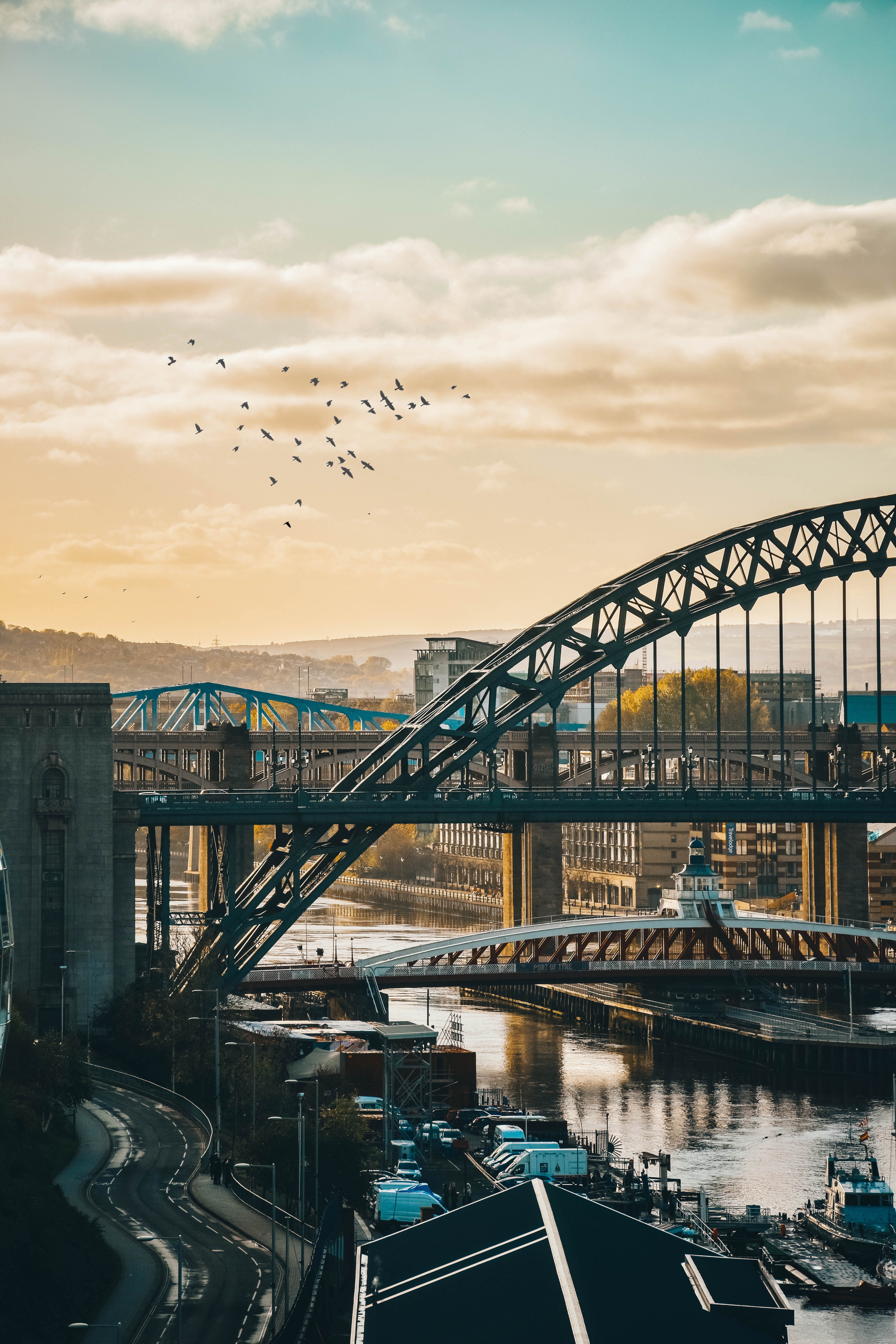 architecture, bridge, sunset, landscape, sky, golden hour, outdoors, flock of birds, cityline, no people, transportation, road, animal themes, animal, river, Phone HD Wallpaper