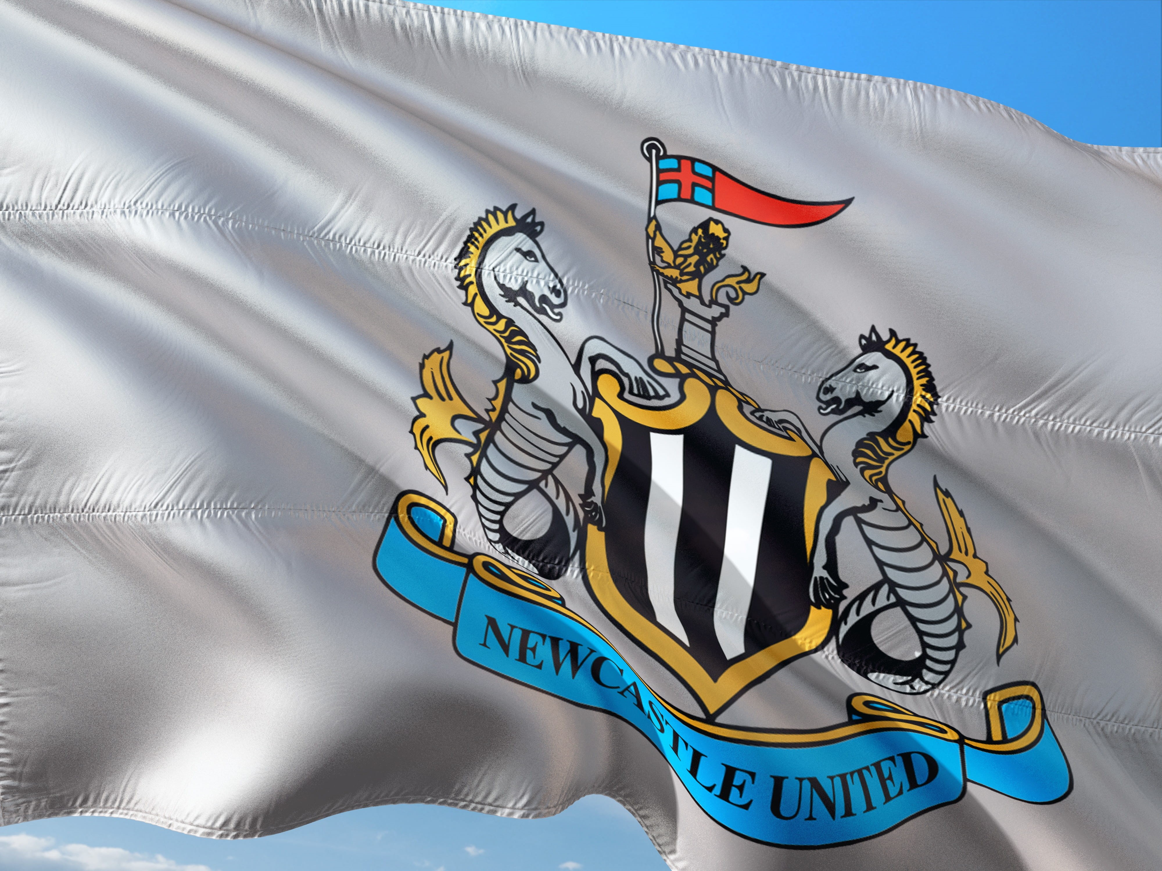 england, wind, travel destinations, pattern, close-up, outdoors, low angle view, ornate, newcastle united, dragon, flag, no people, architecture, nature, HD Wallpaper