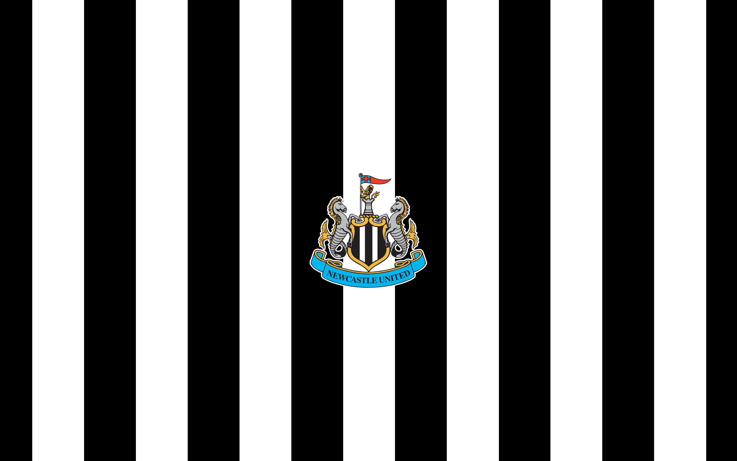 black color, newcastle, european, striped, white background, white color, studio shot, 2K, creativity, human representation, day, football, copy space, HD Wallpaper