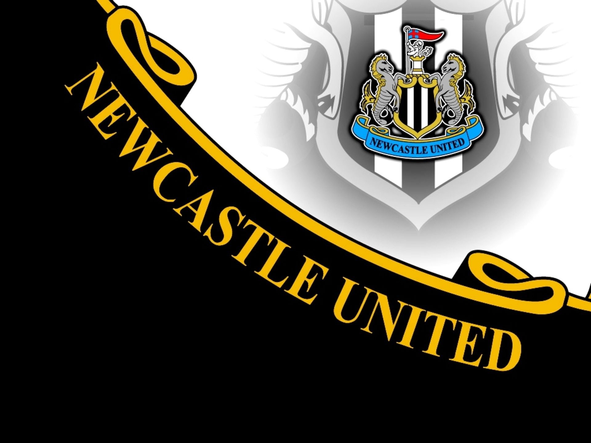 1080P, sports, soccer, united, newcastle, HD Wallpaper