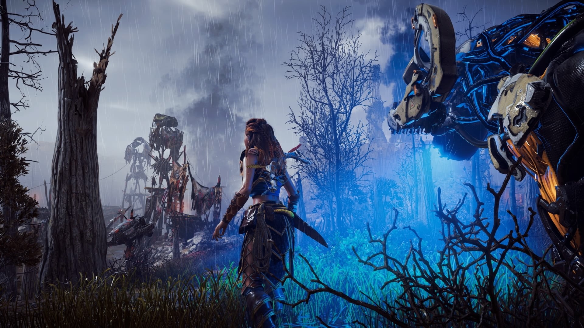 women, nature, tree, young women, adult, standing, Horizon: Zero Dawn, Aloy (Horizon: Zero Dawn), beauty in nature, side view, one person, real people, HD Wallpaper