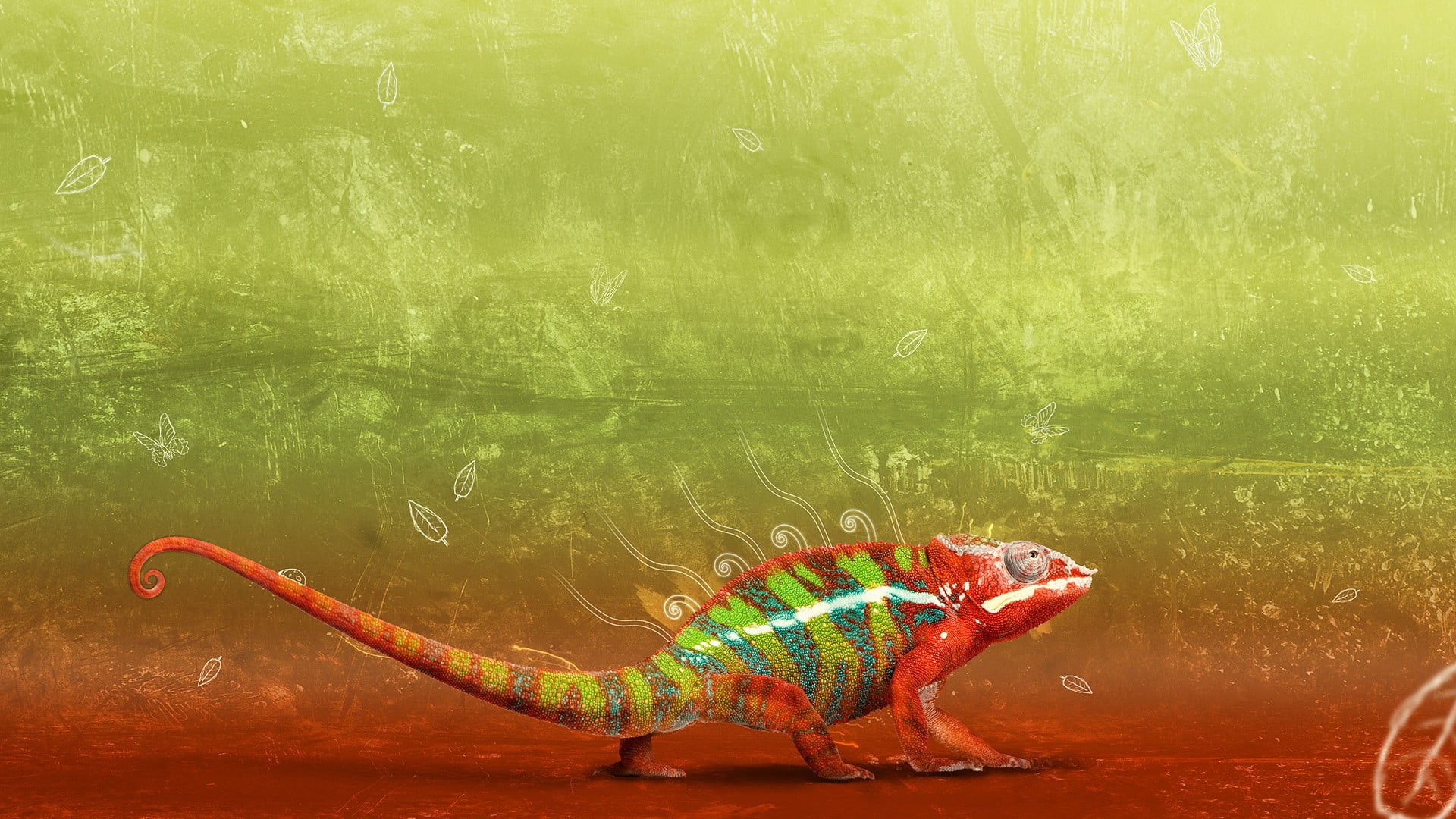 backgrounds, animals, animal, one animal, old, outdoors, day, transparent, animal themes, red, lake, green background, 1080P, chameleon, old-fashioned, HD Wallpaper