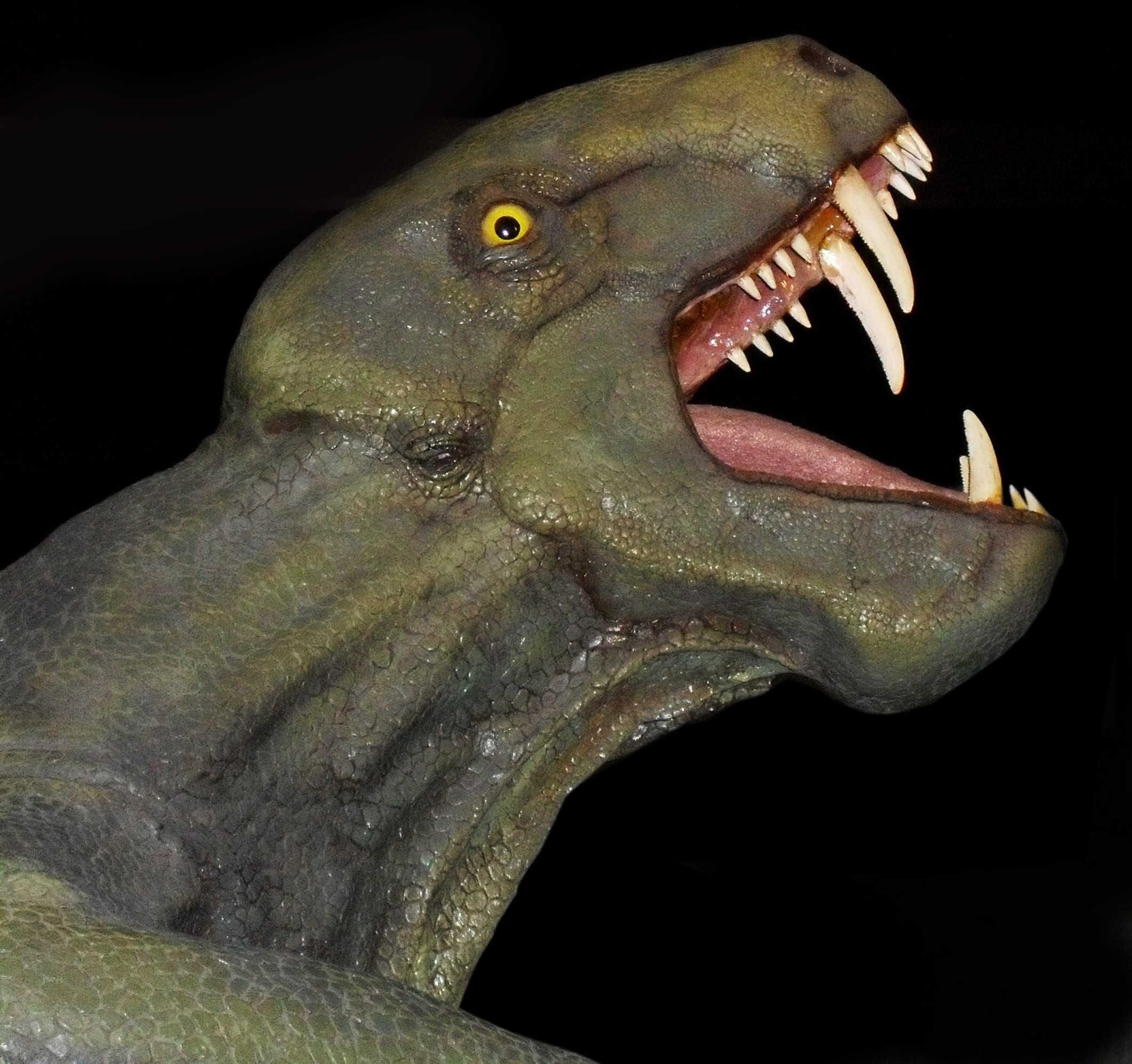 beast, underwater, fangs, anger, animals in the wild, scary, roar, indoors, dinosaur, studio shot, animal head, side view, illustration, animal mouth, aggression, HD Wallpaper