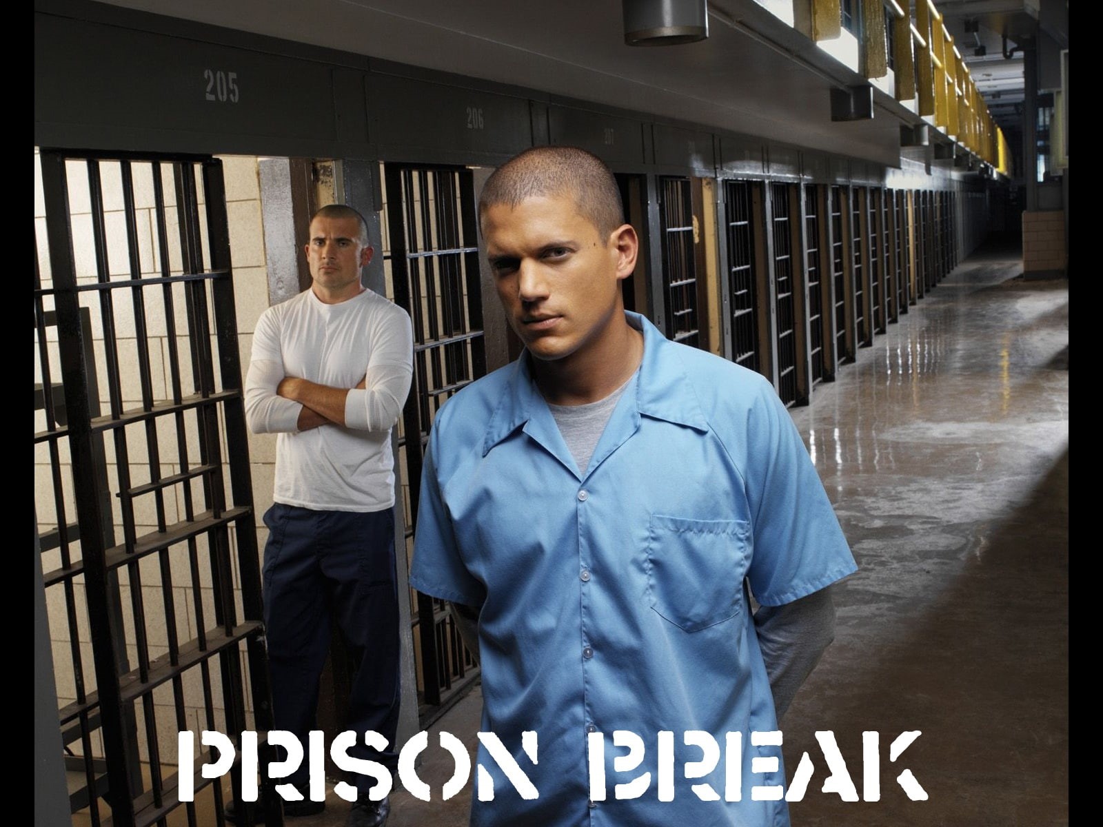 Prison, 720P, Break, HD Wallpaper