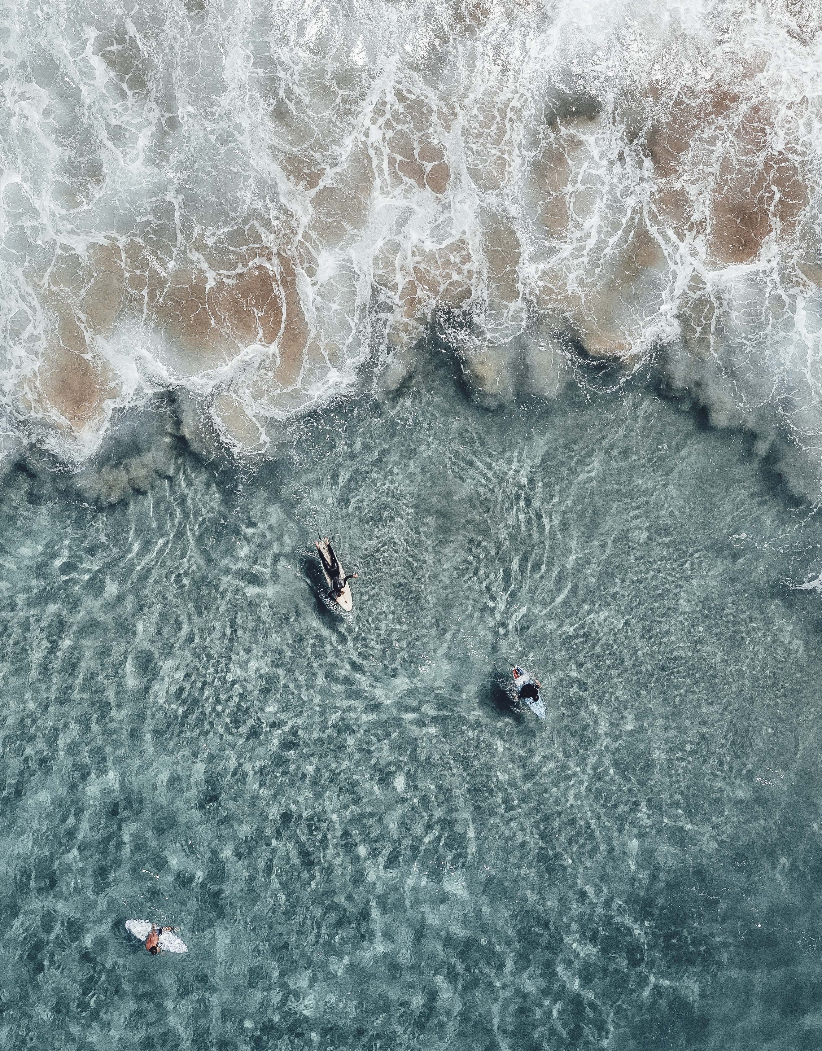 high angle view, escape, eye, view, sea, day, animal, animals in the wild, beauty in nature, body, s, swimming, waterfront, dji surf waves ebrace, real people, Phone HD Wallpaper