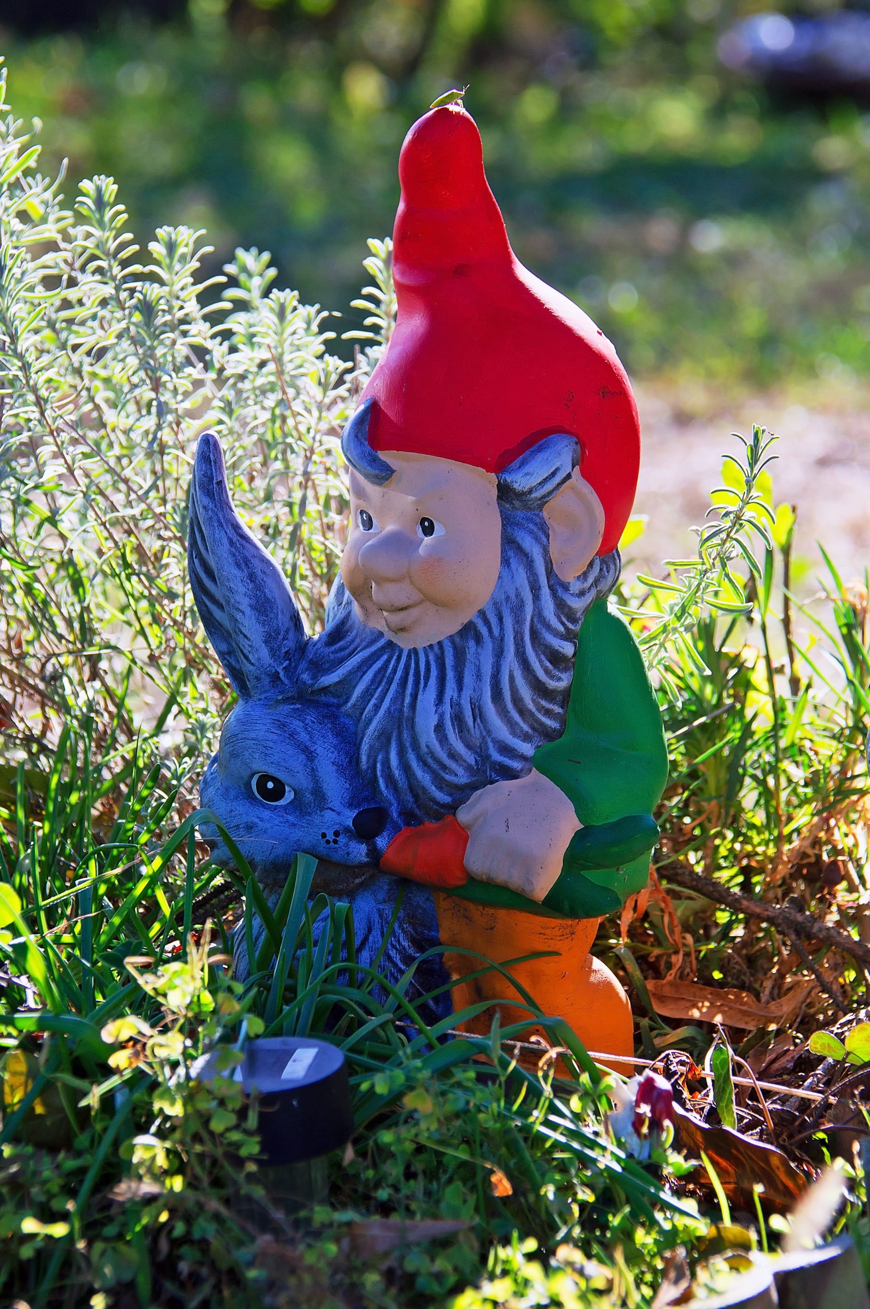 mood, statue, beautiful, nature, figurine, dwarf man, dwarves, toy, creativity, portrait, porcelain, profile, human representation, no people, plant, facial, Phone HD Wallpaper