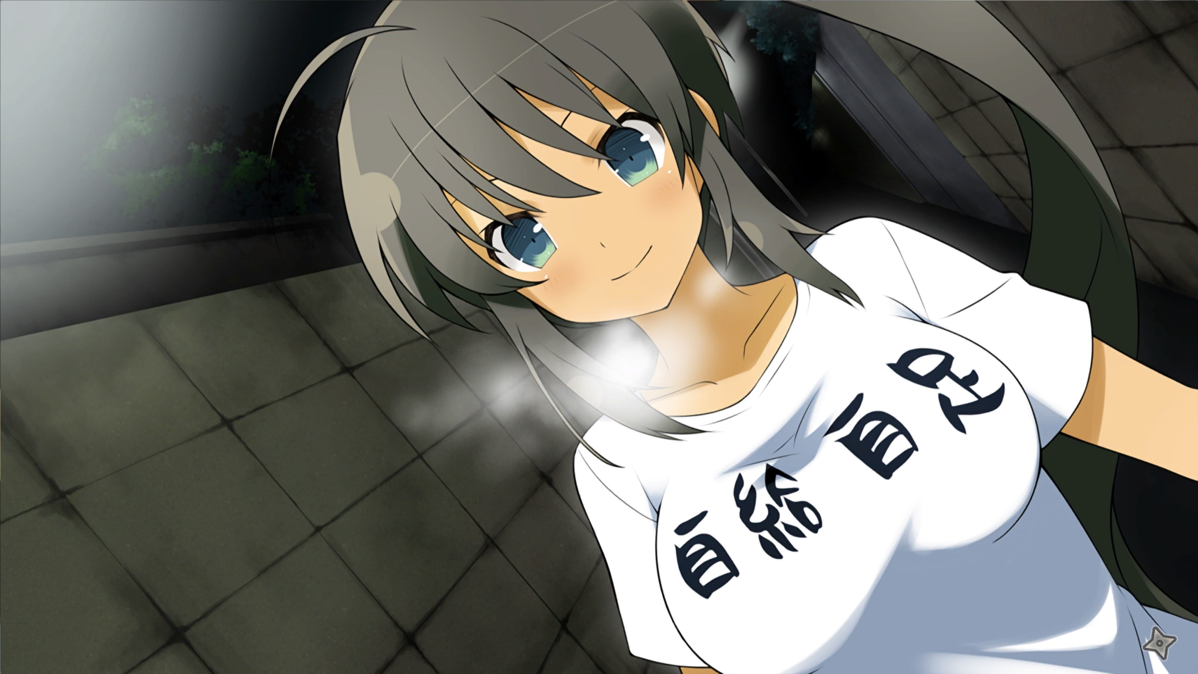 one person, senran kagura shinovi versus, indoors, string instrument, close-up, white color, representation, reflection, wireless technology, day, 4K, HD Wallpaper